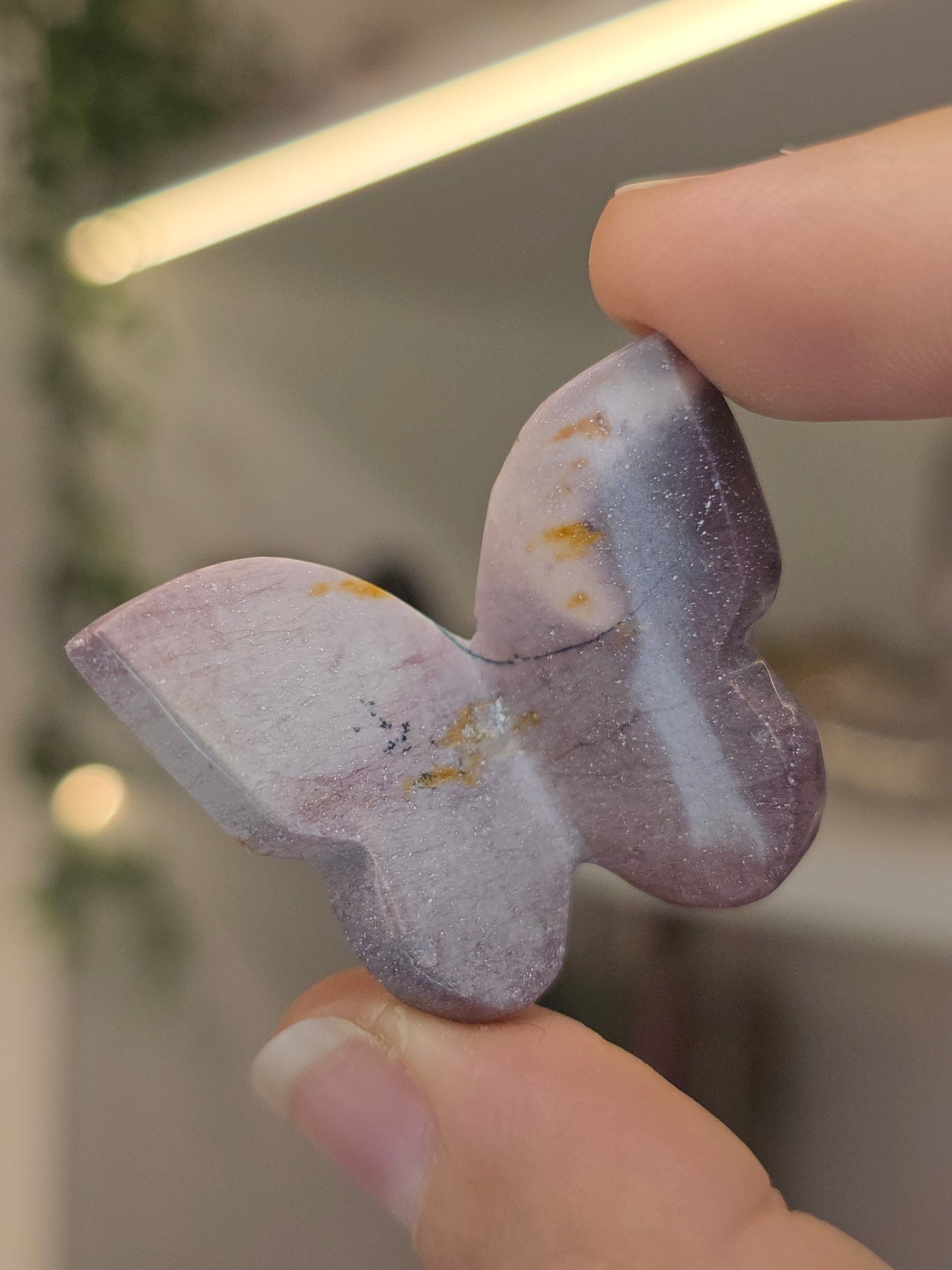 Hyacinth Jasper Butterflies