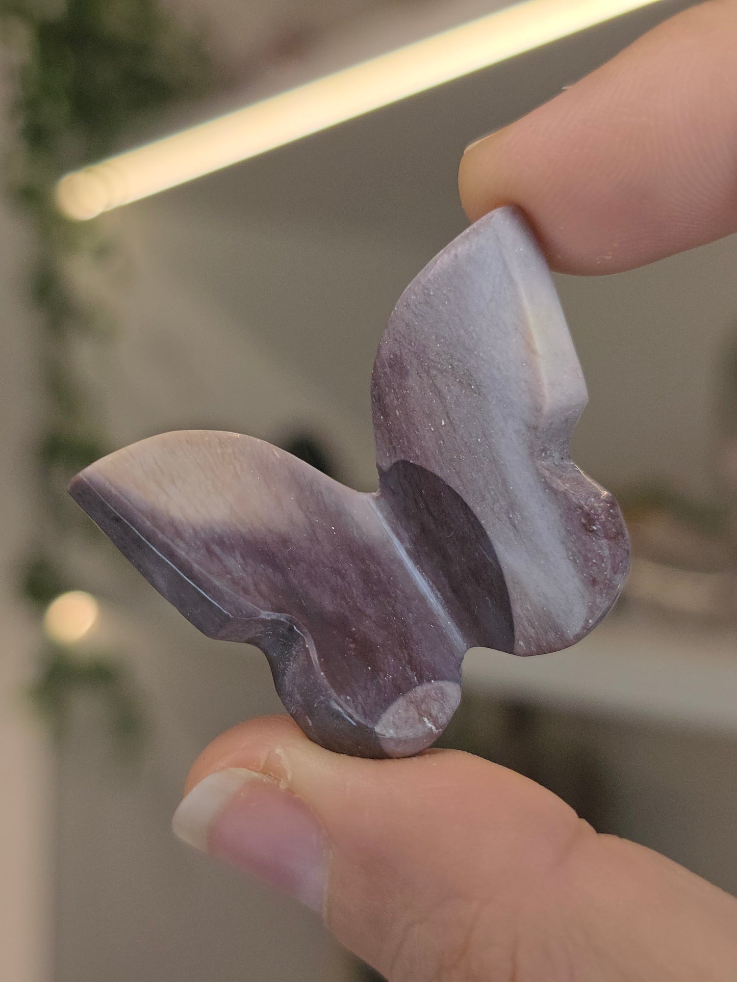 Hyacinth Jasper Butterflies