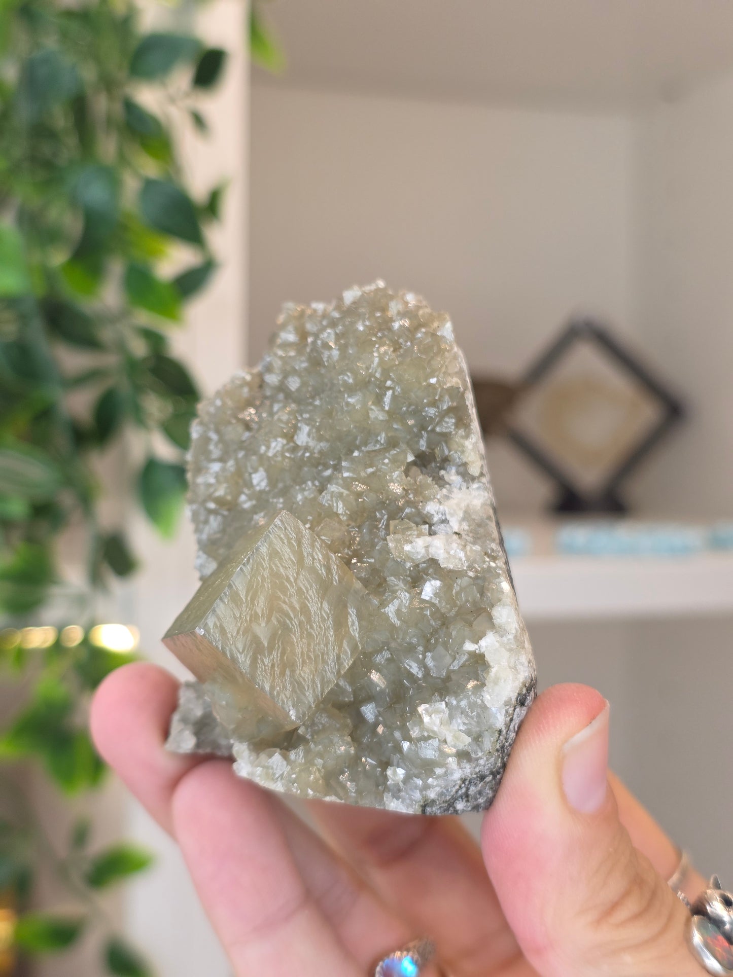 Honey Calcite Cubes on Druzy Sugar Calcite and Stilbite Matrix from Madhya Pradesh, India - AE