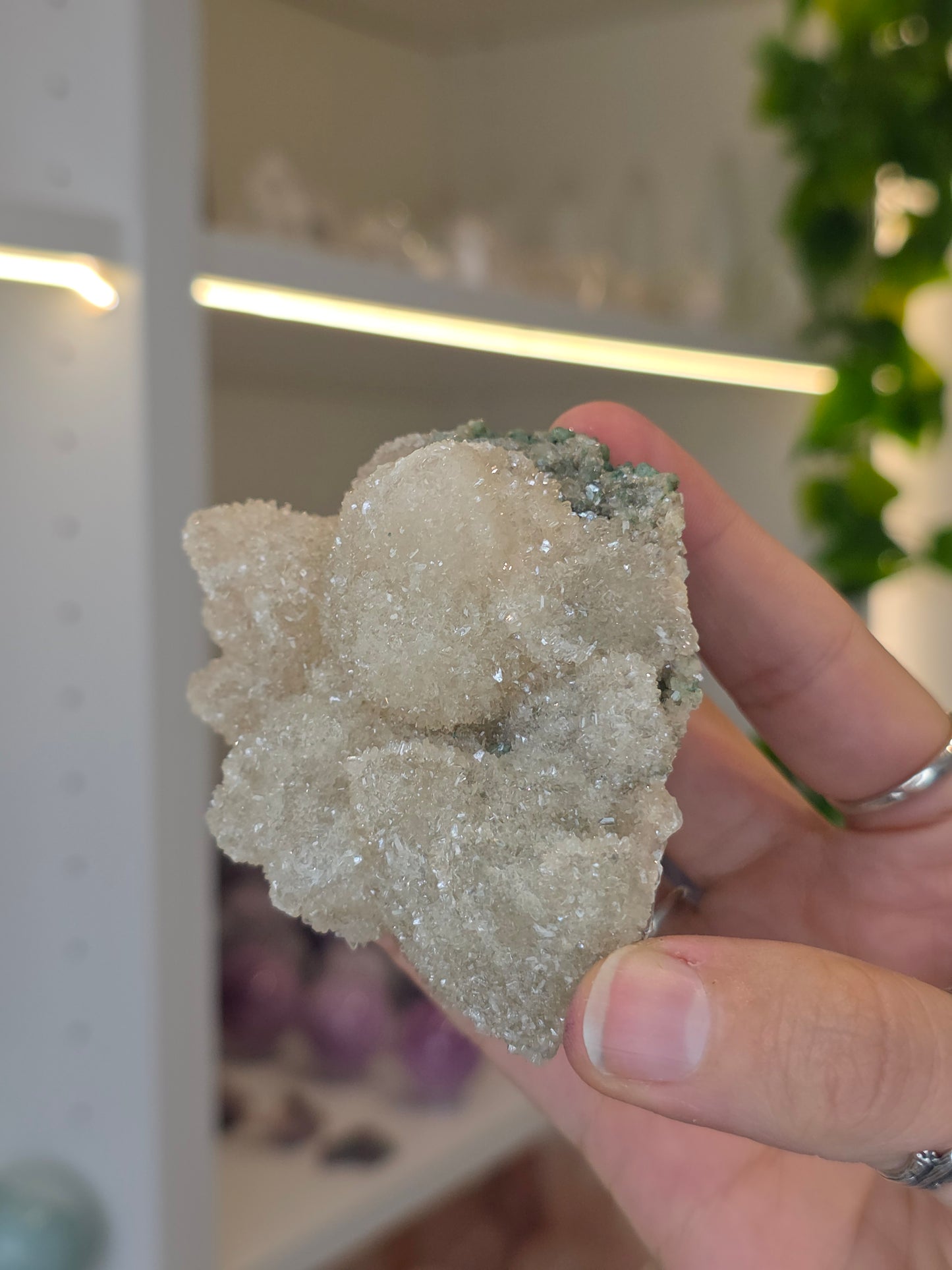 Sugary Dogtooth Calcite with Heulandite and Stilbite from Madhya Pradesh, India - L38