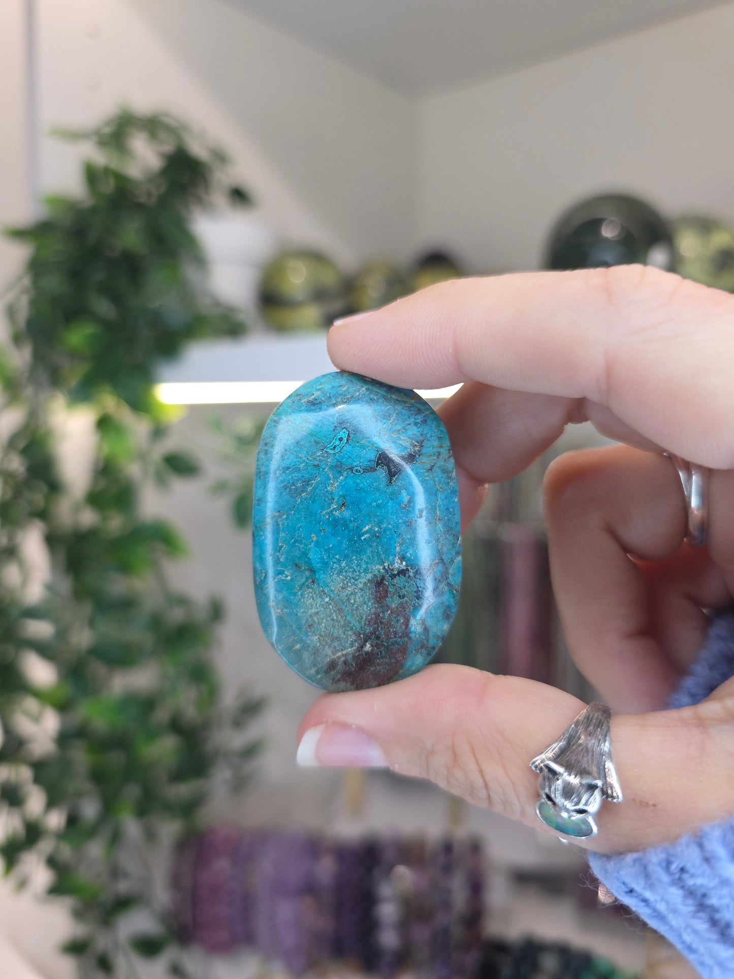 Shattuckite Palms