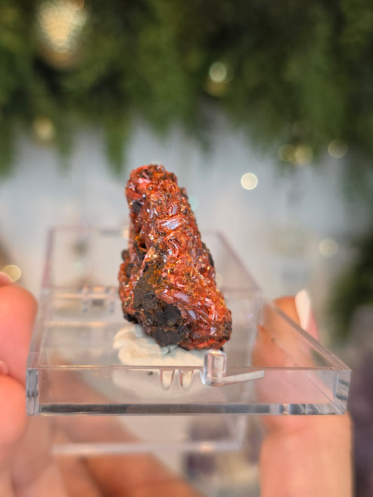 Crocoite from Australia - MAS6084