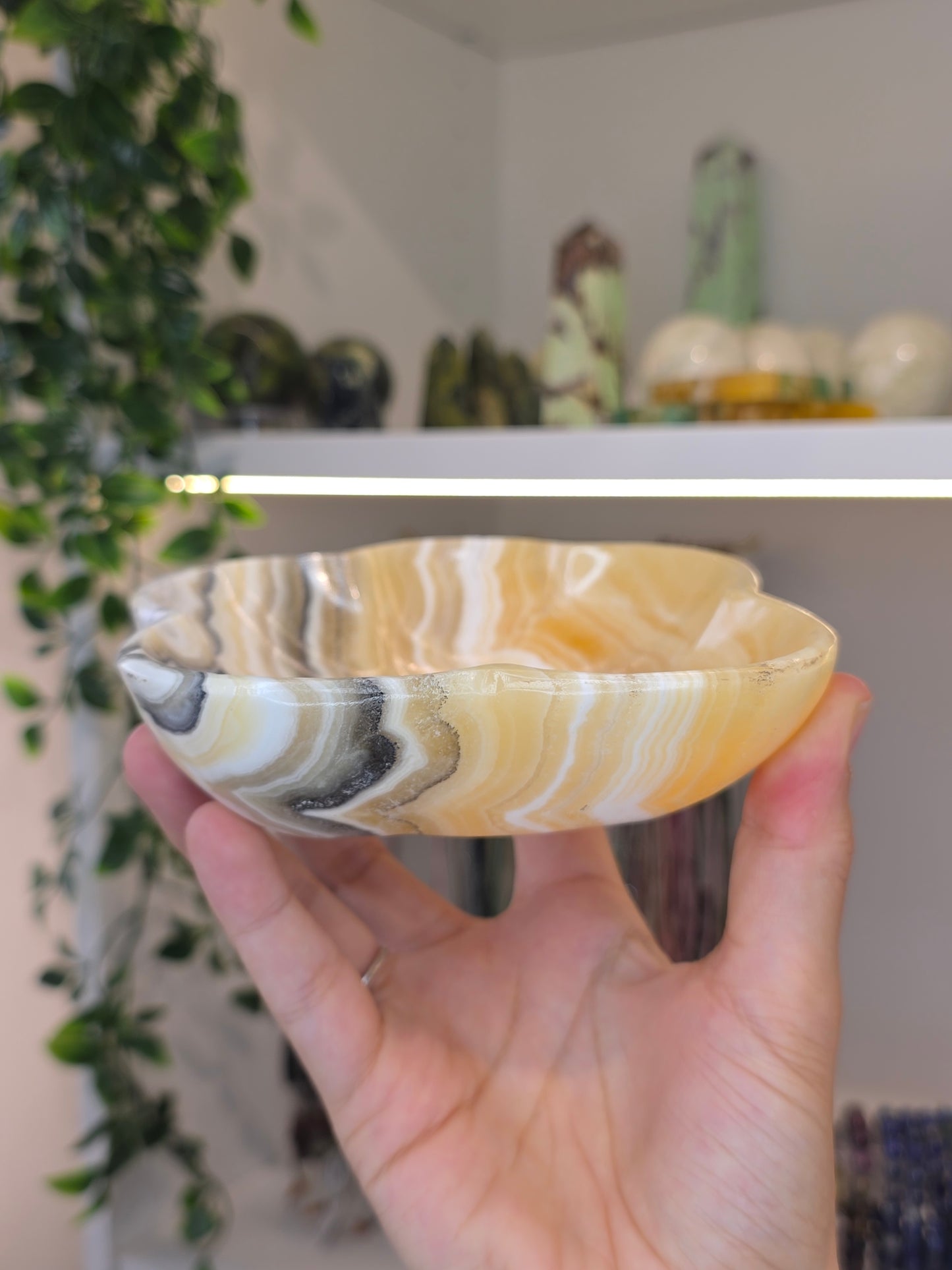 Mexican Onyx Bowl - Yellow Zebra Calcite - D