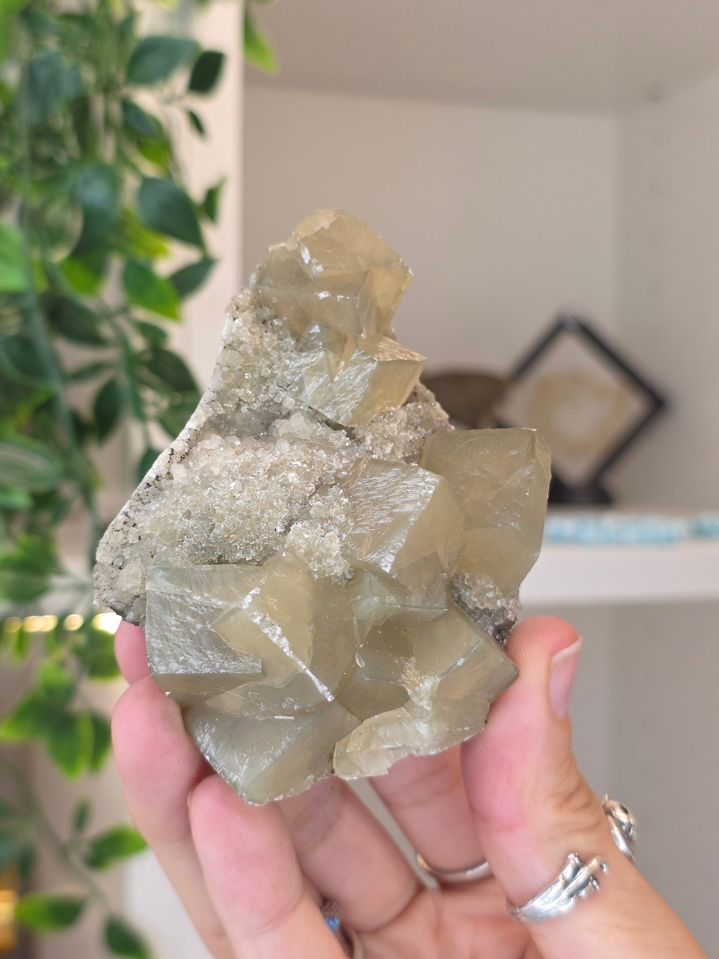 Honey Calcite Cubes on Druzy Sugar Calcite and Stilbite Matrix from Madhya Pradesh, India - R