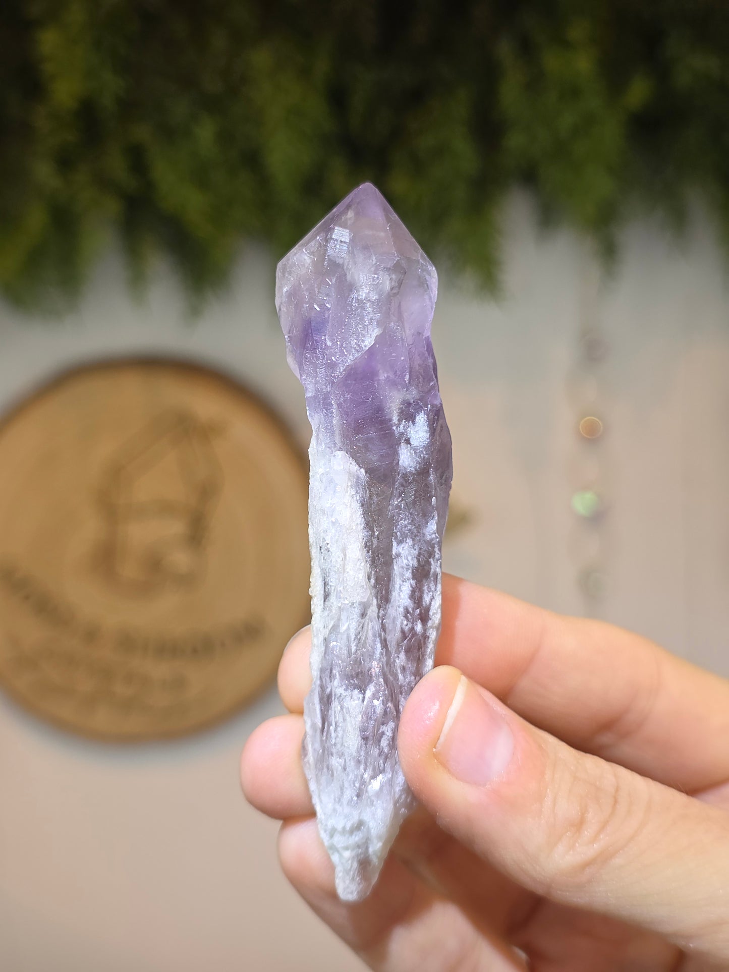 Brazilian Amethyst Root Point