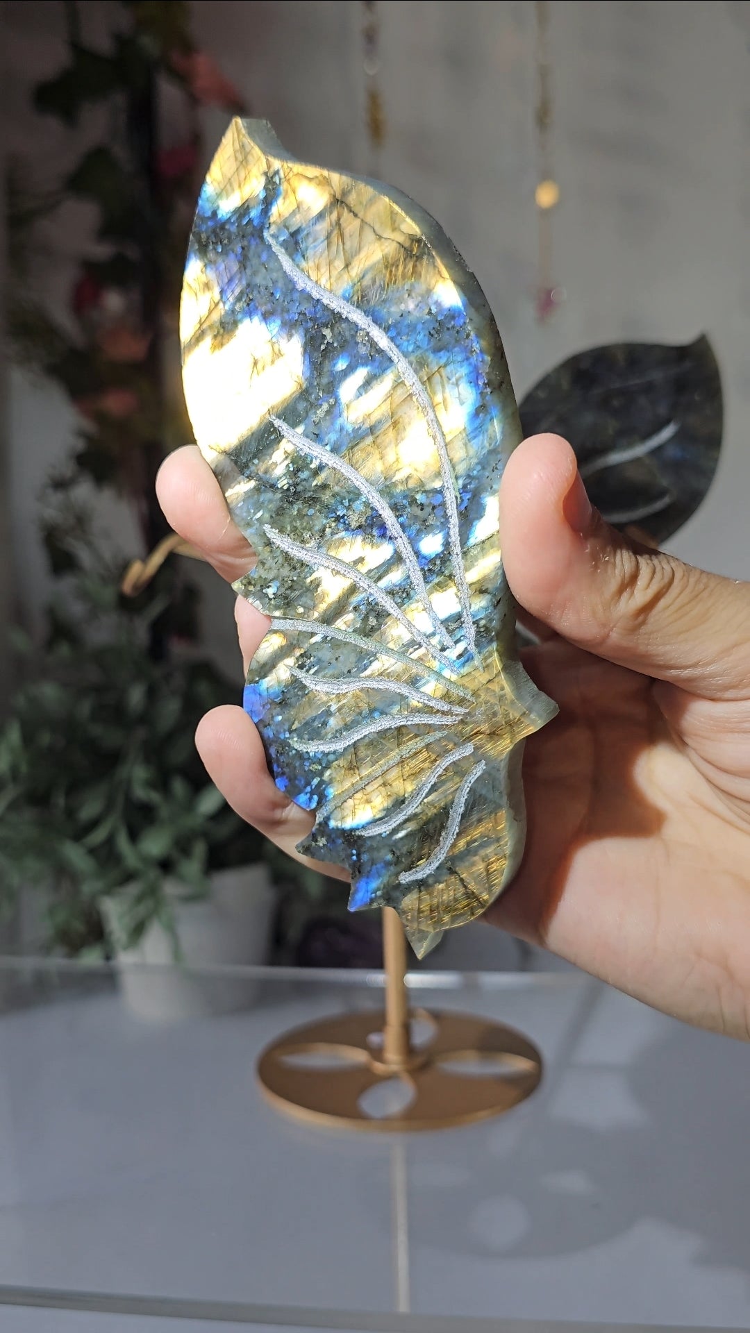 Labradorite Butterfly Wings on Custom Stand - MAS0826