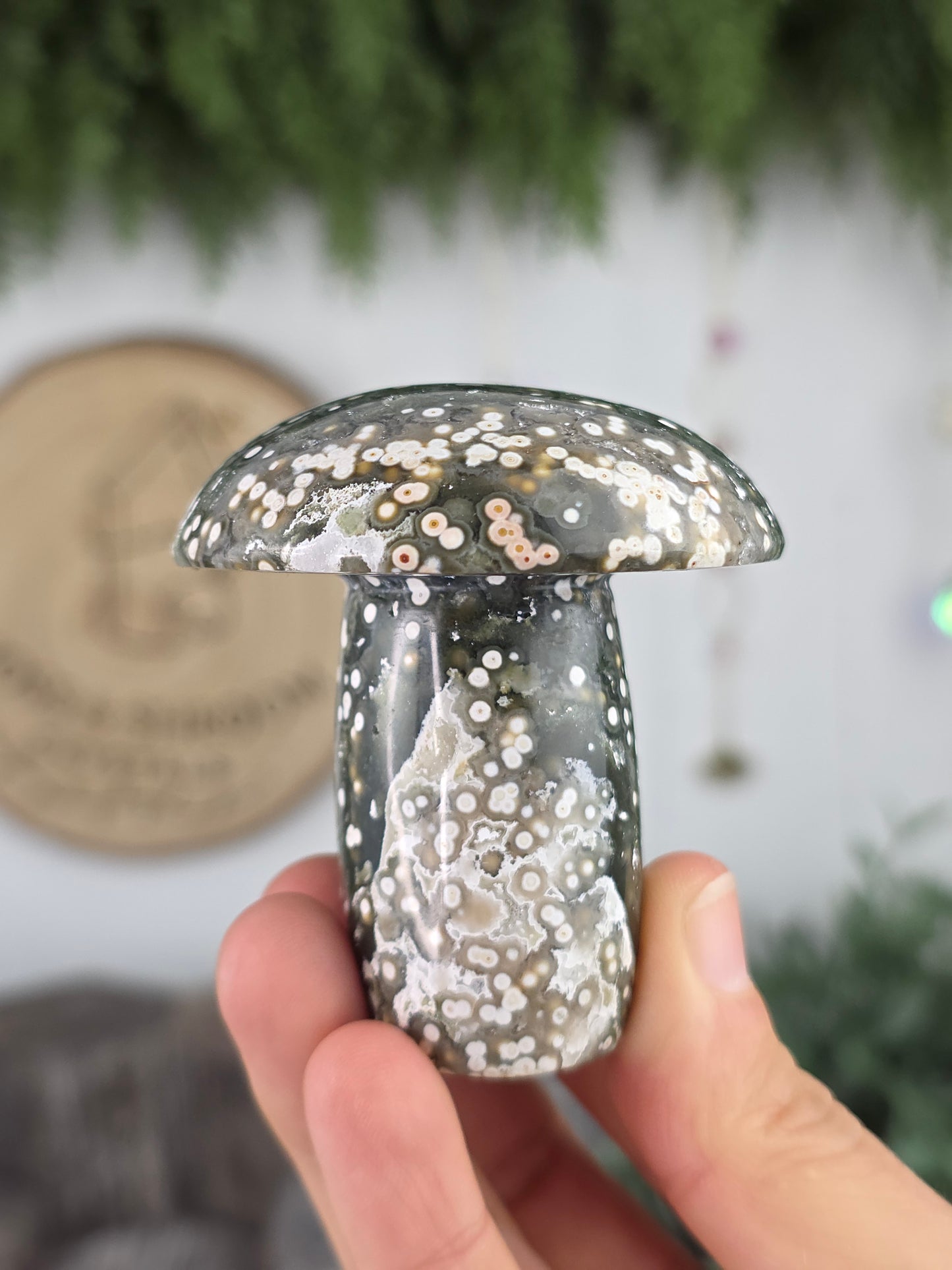 8th Vein Ocean Jasper Mushroom D