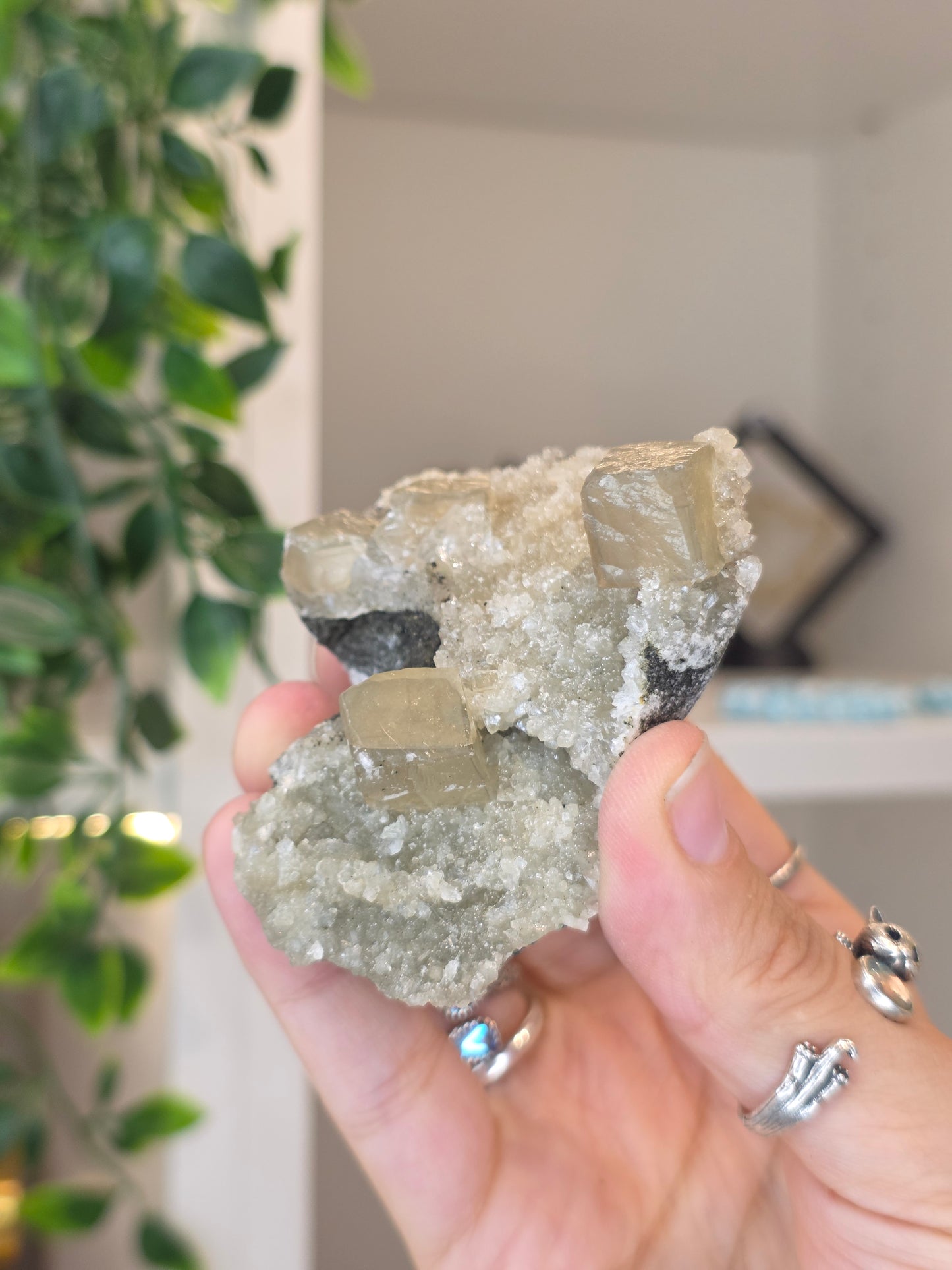 Honey Calcite Cubes on Druzy Sugar Calcite and Stilbite Matrix from Madhya Pradesh, India - C