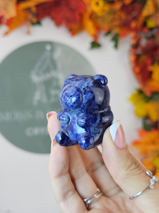 Sodalite Capybara - MAS1311
