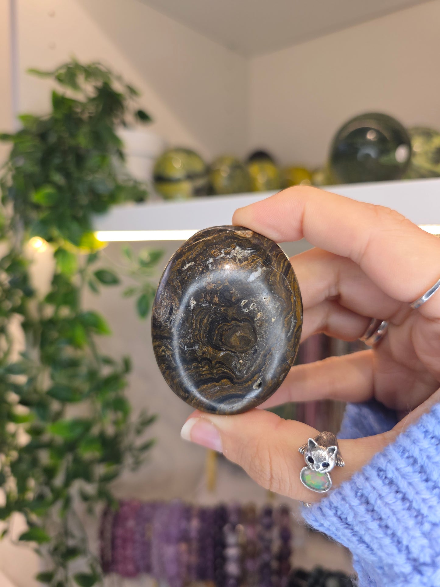 Peruvian Stromatolite Palms