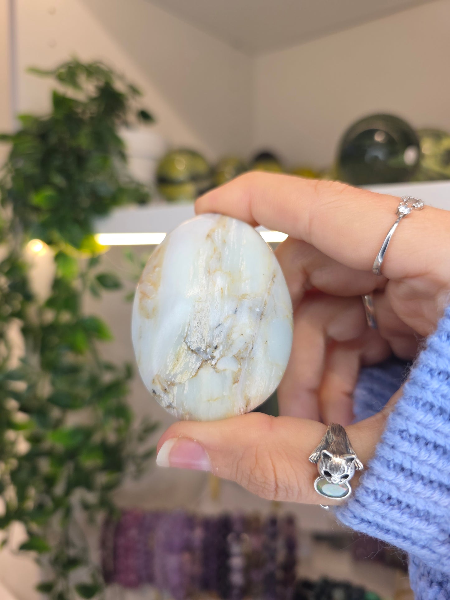 Peruvian Andean Opal Palms