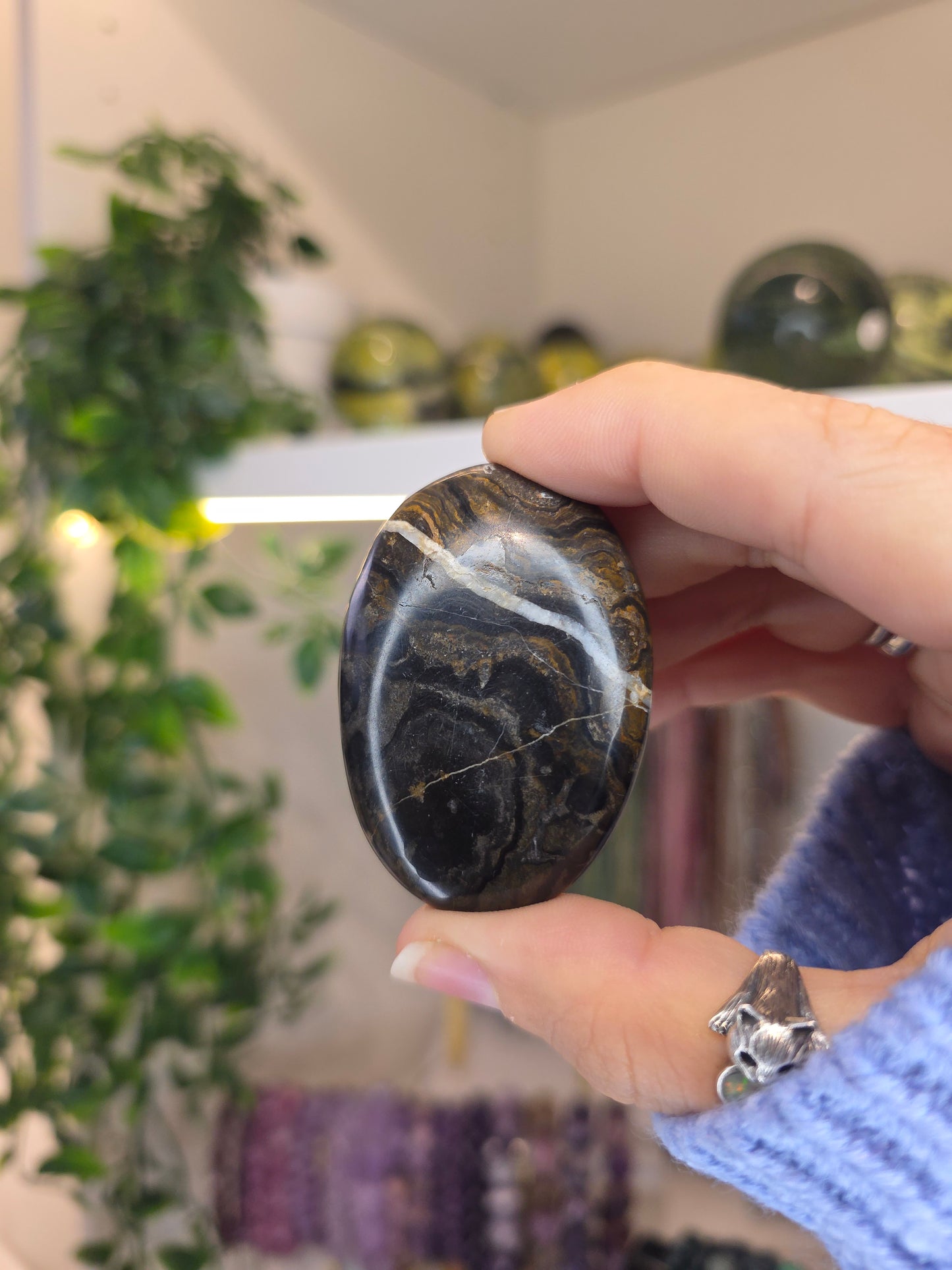 Peruvian Stromatolite Palms