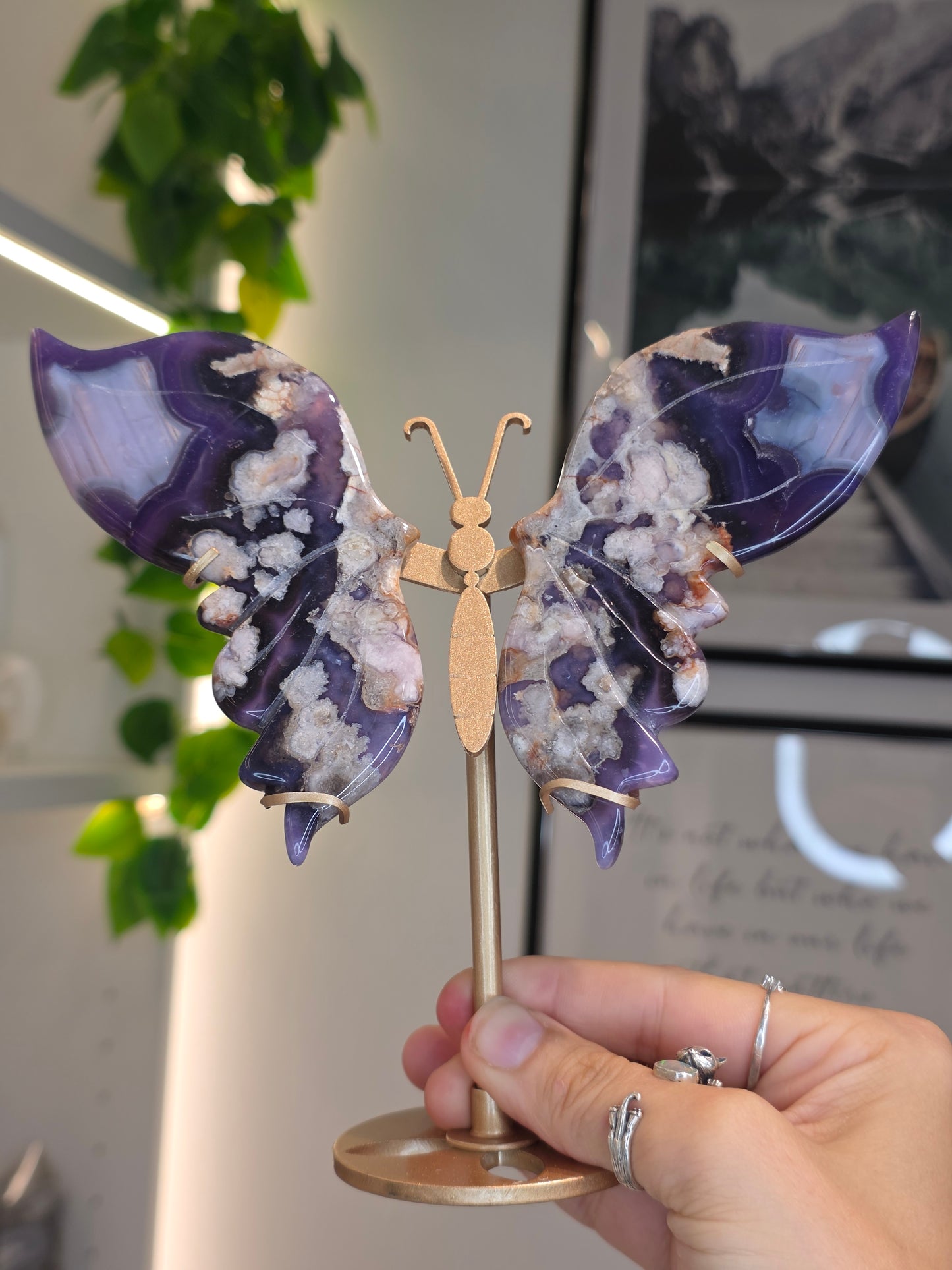 Blue Flower Agate Butterfly Wings on Custom Stand - F