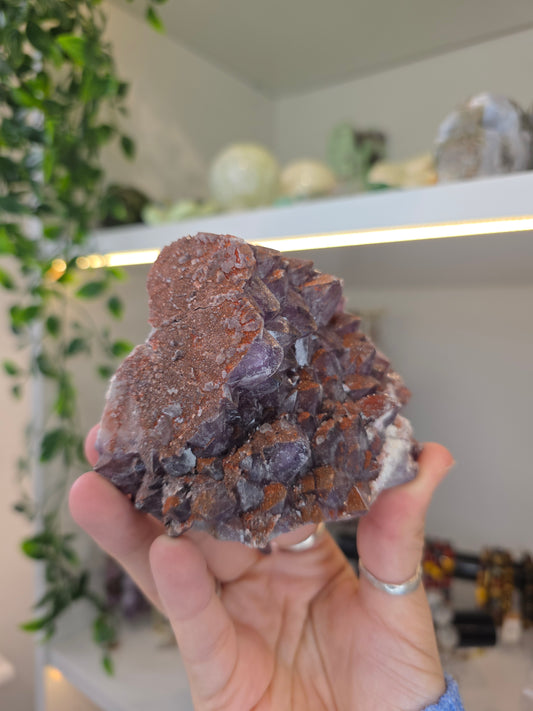 'Alien Amethyst' Hemitite Included Amethyst from Hyderabad, India P