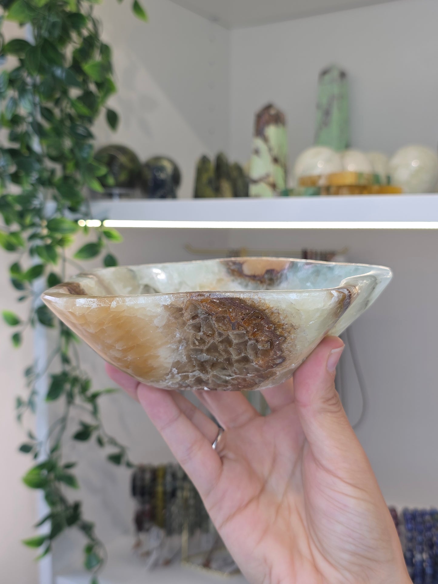 Mexican Onyx Freeform Bowl - Green Honey Calcite - B