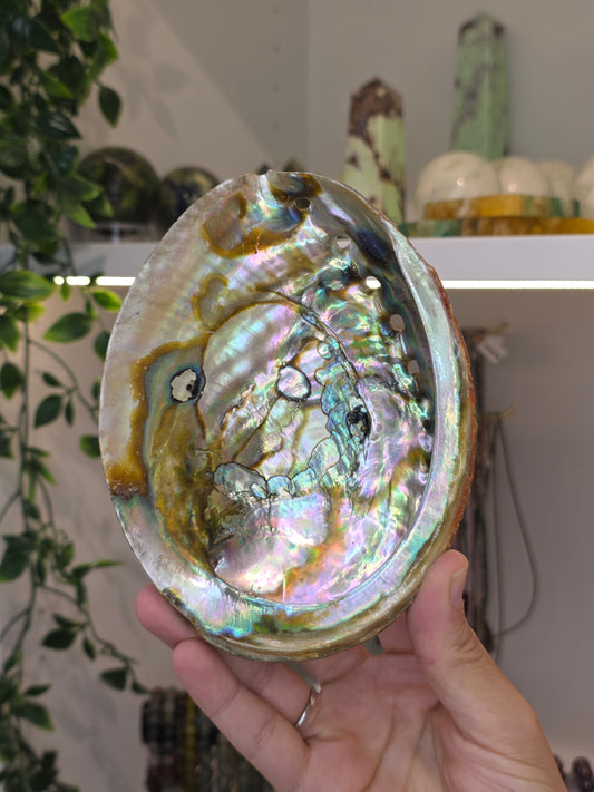 Abalone Shell / Bowl Trinket Dish - C