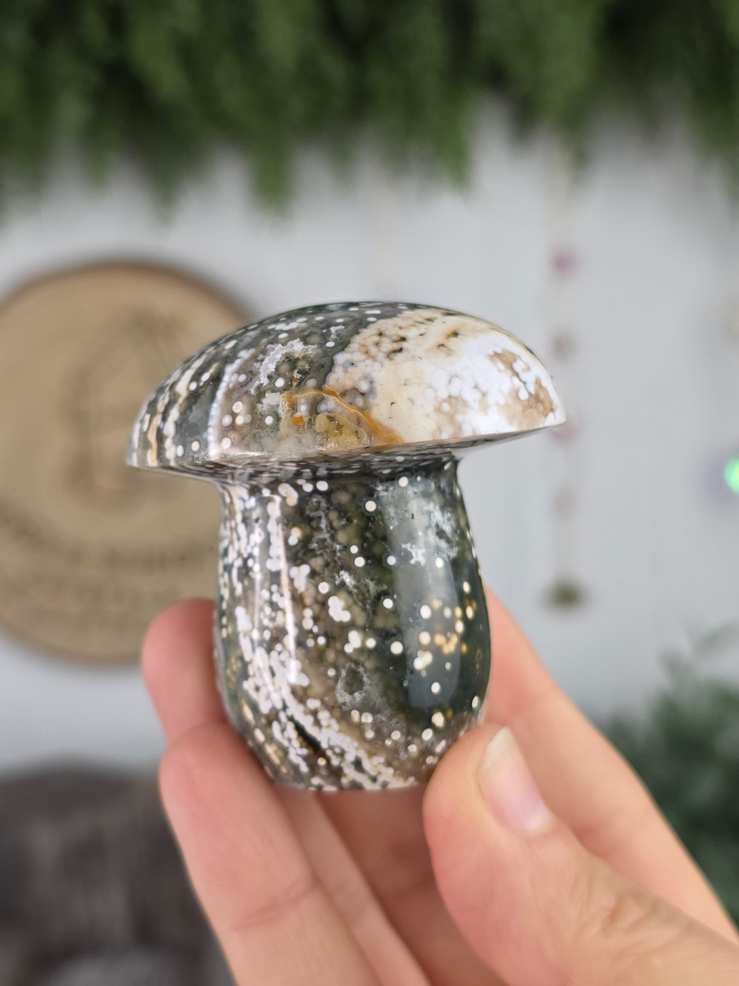 8th Vein Ocean Jasper Mushroom A