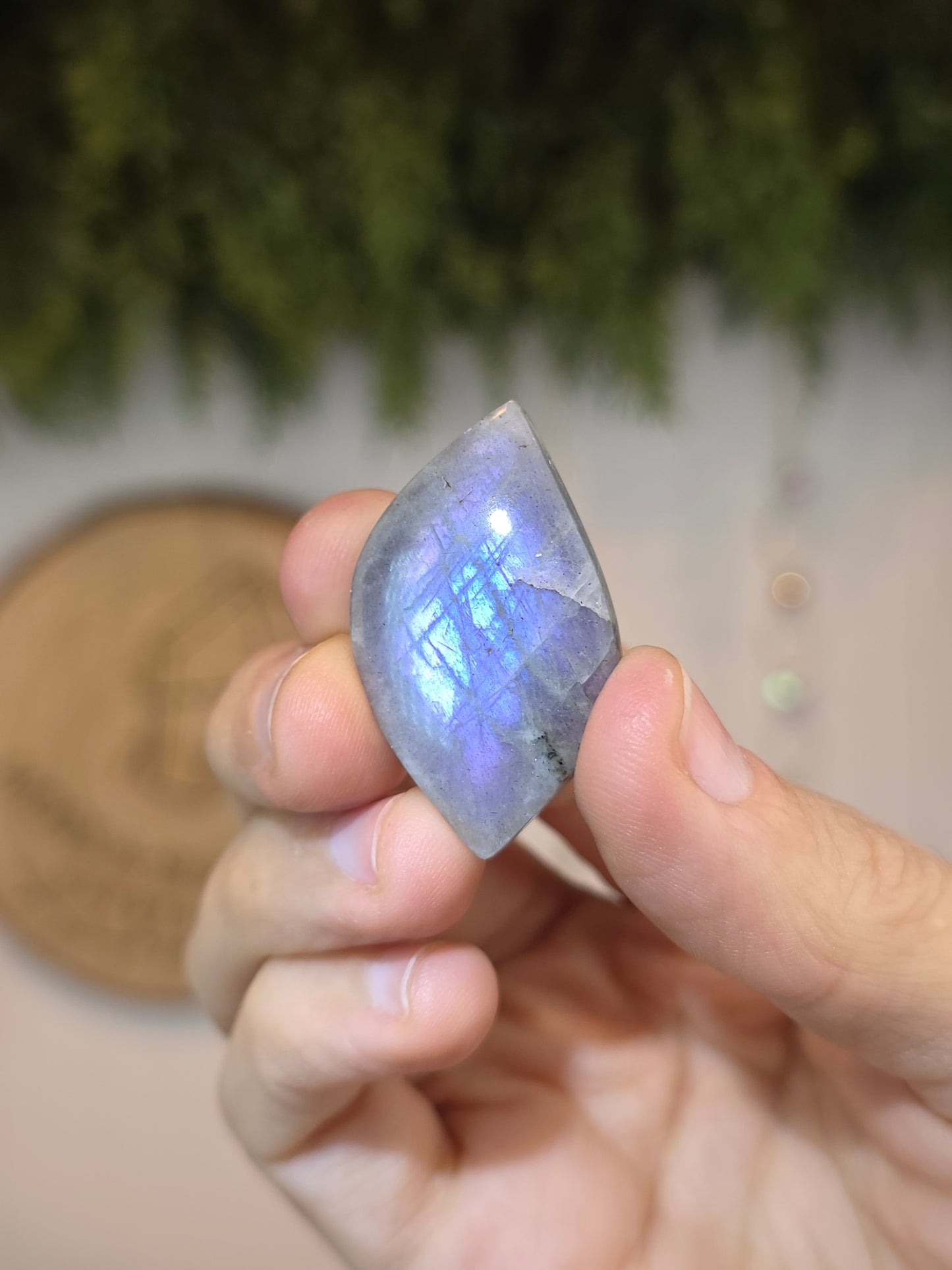 Labradorite Cabachon