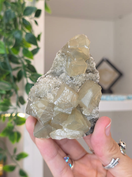 Honey Calcite Cubes on Druzy Sugar Calcite and Stilbite Matrix from Madhya Pradesh, India - R