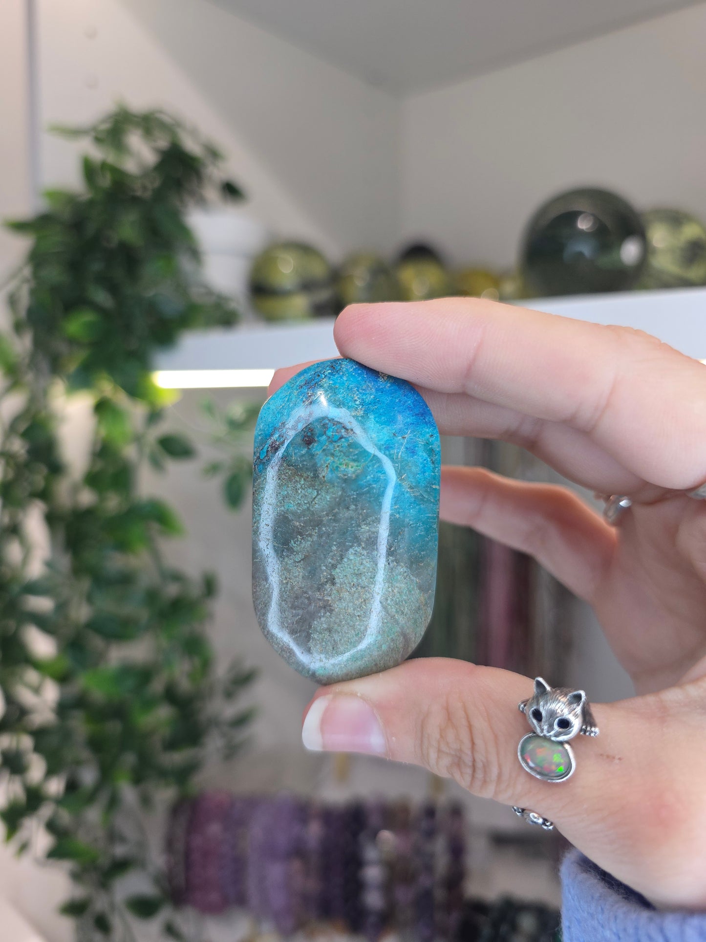 Shattuckite Palms