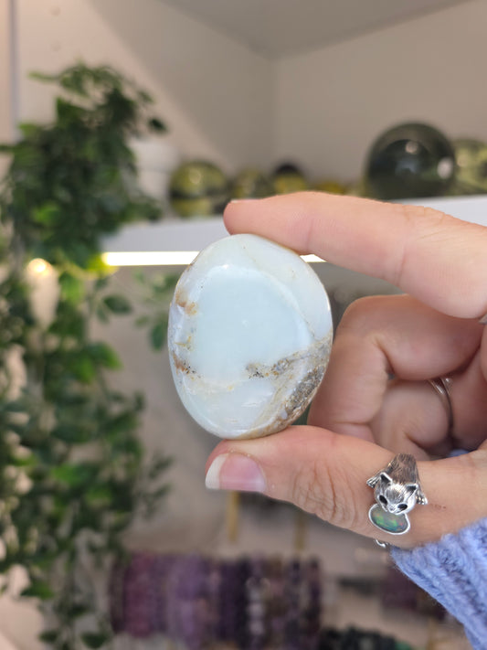 Peruvian Andean Opal Palms