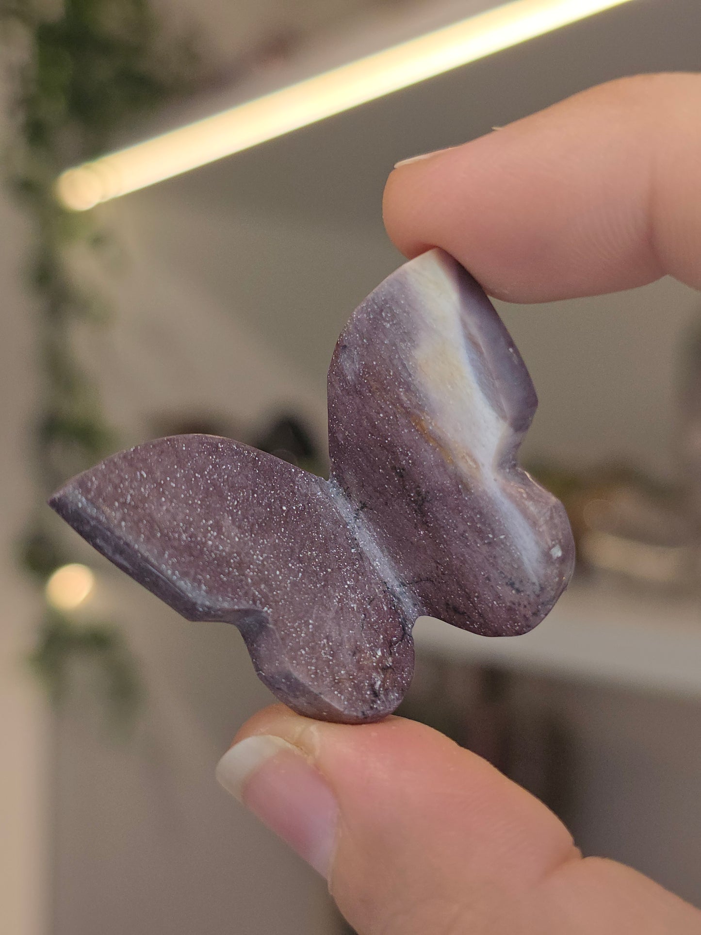 Hyacinth Jasper Butterflies