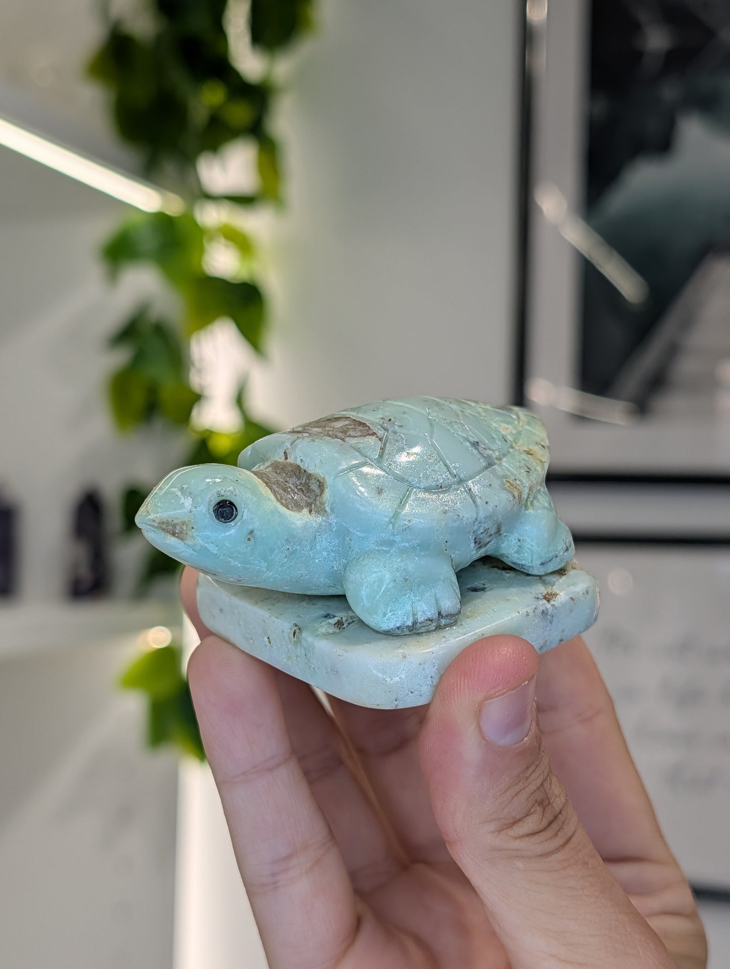 Hand Carved Indonesian Chrysoprase Frogs and Turtles