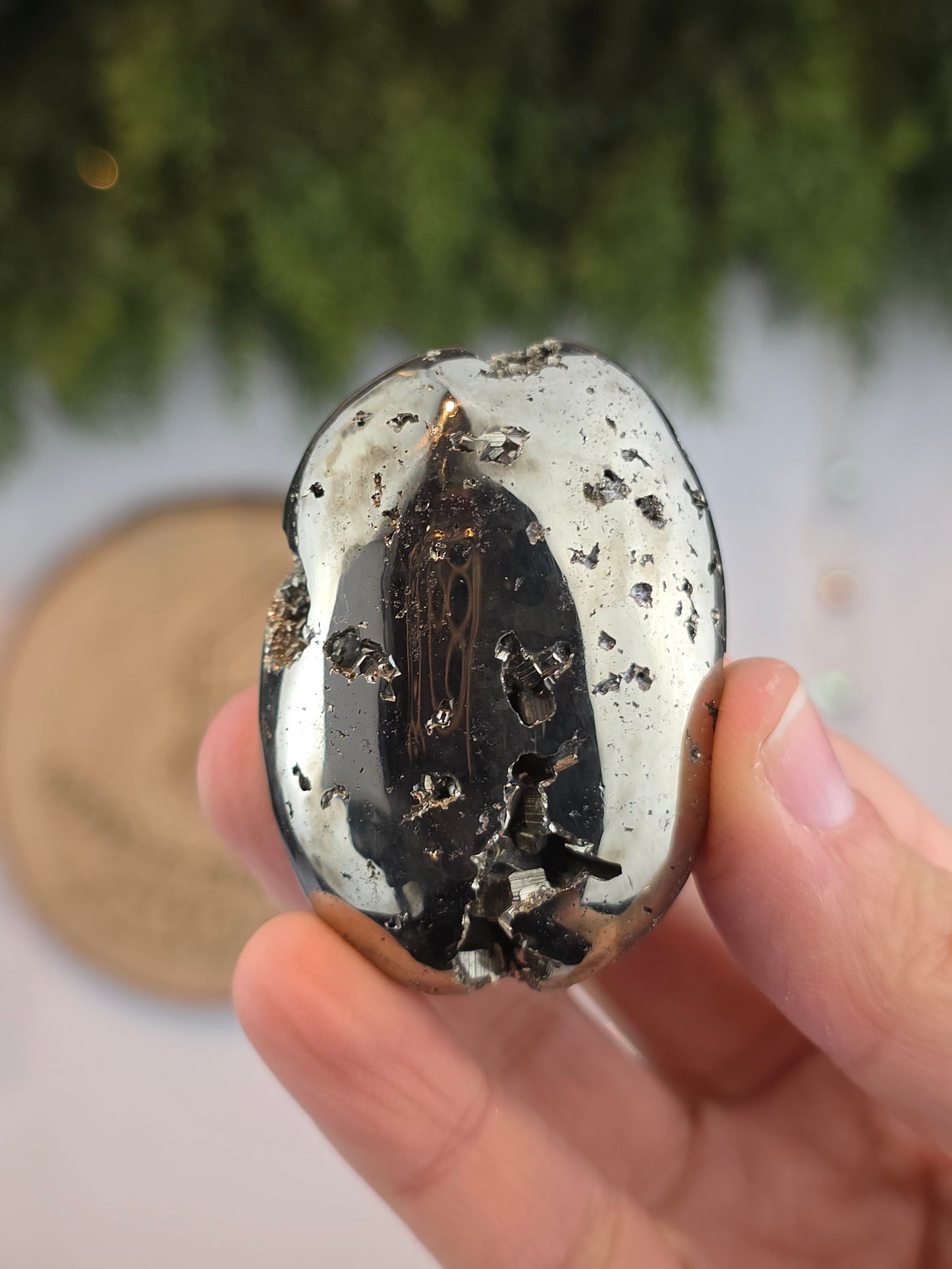 Peruvian Pyrite Palm