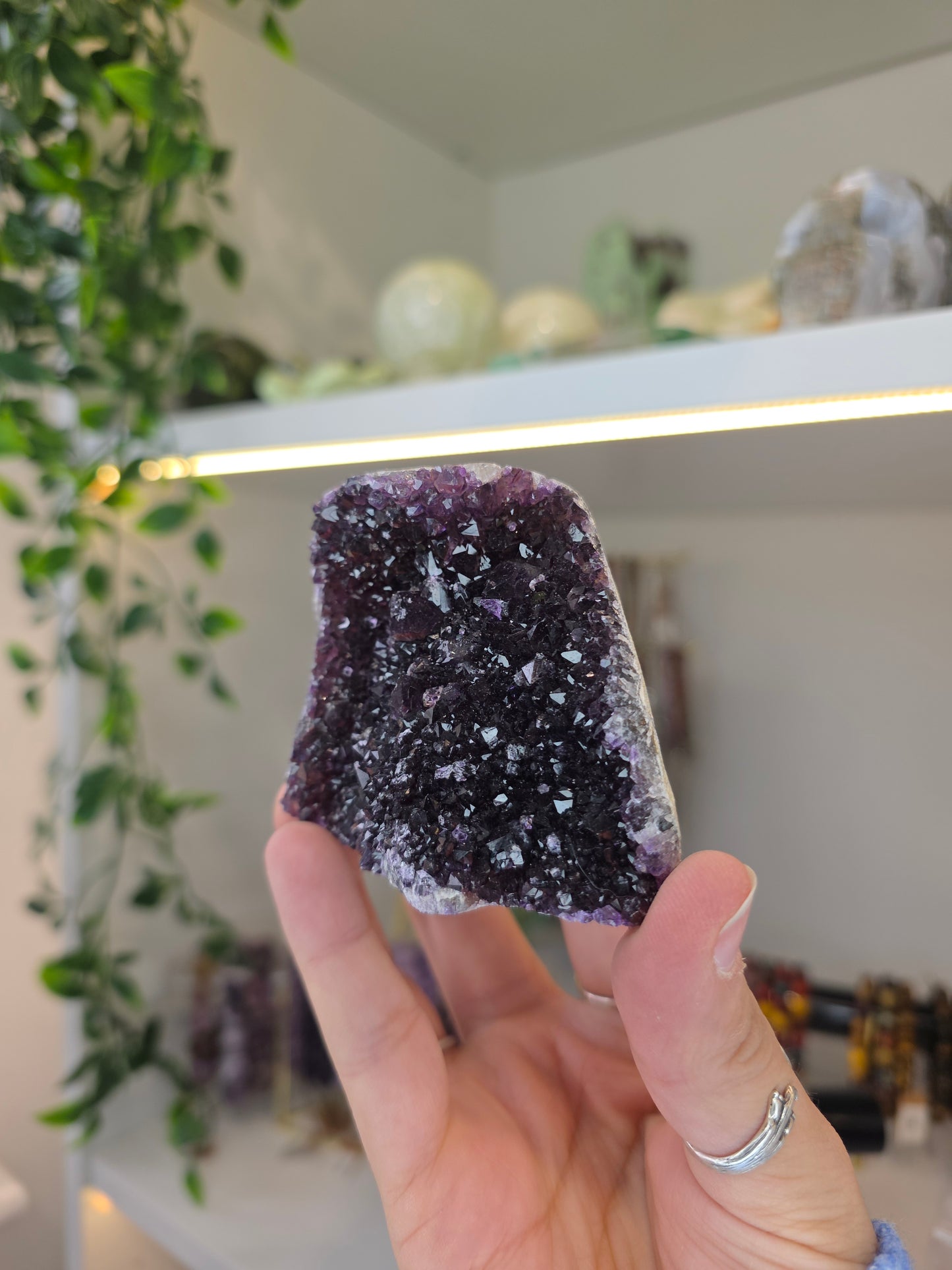 'Alien Amethyst' Hemitite Included Amethyst from Hyderabad, India M