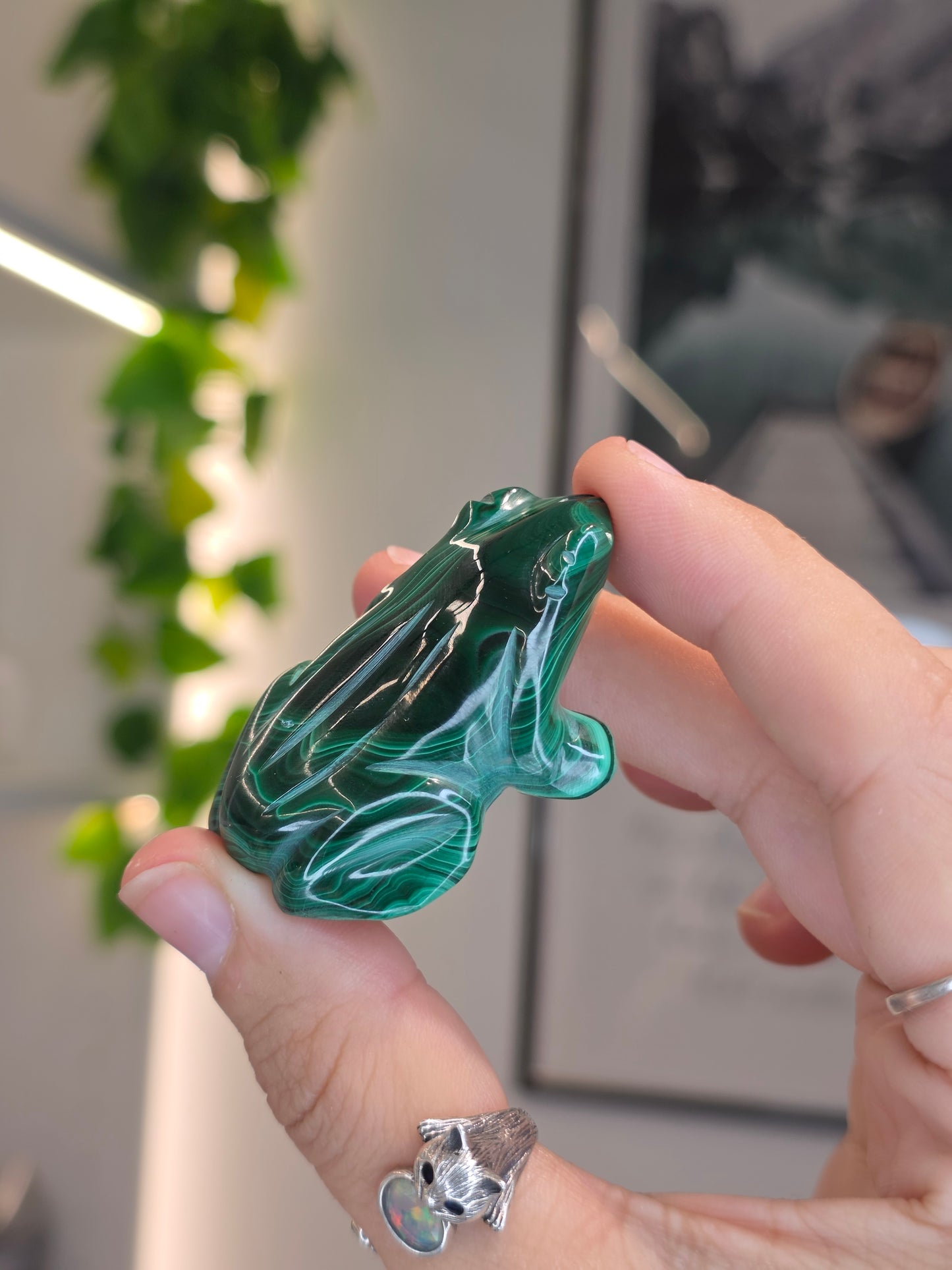 Malachite Frog Carving - B