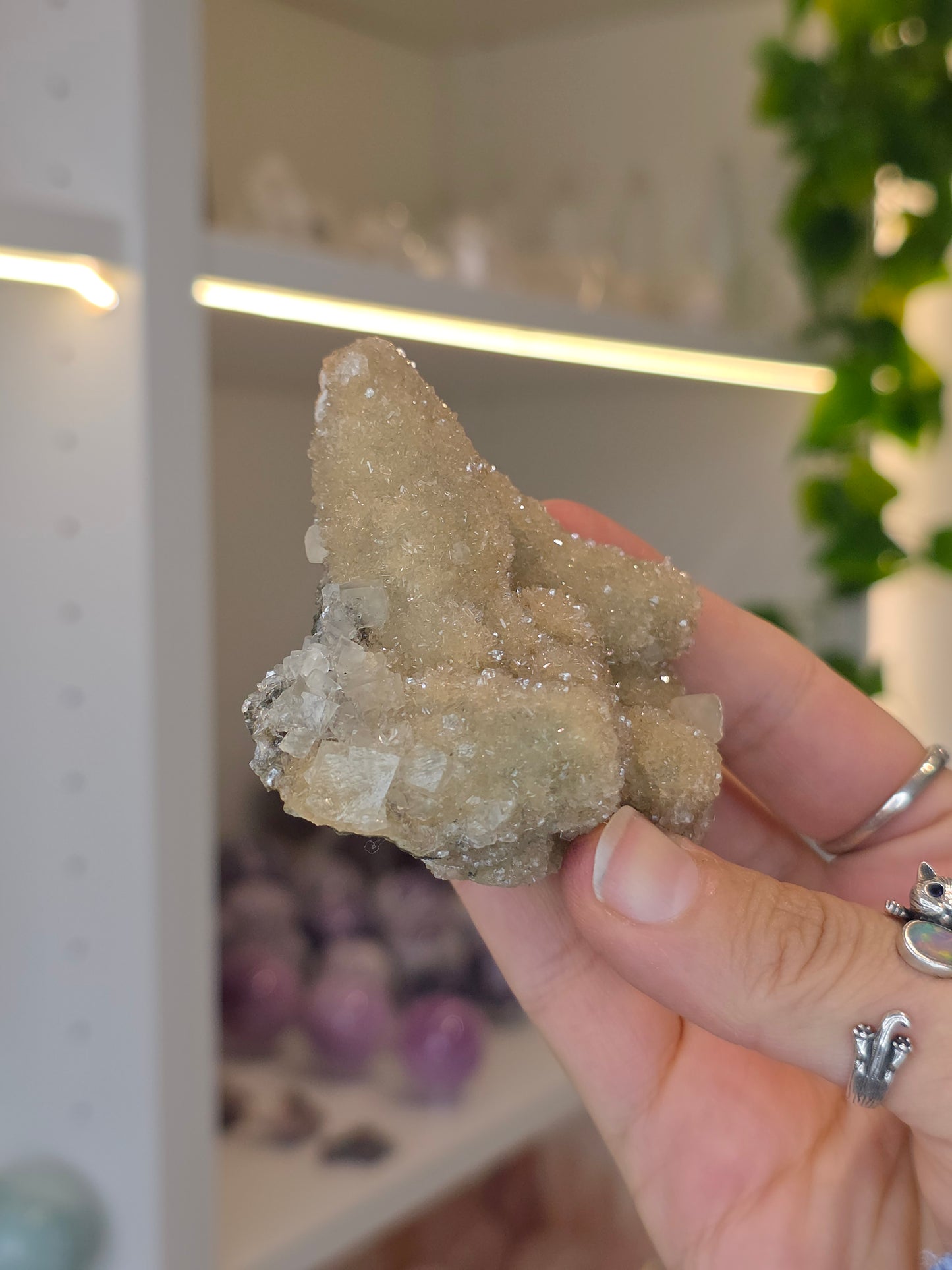 Sugary Dogtooth Calcite with Heulandite and Stilbite from Madhya Pradesh, India - O34