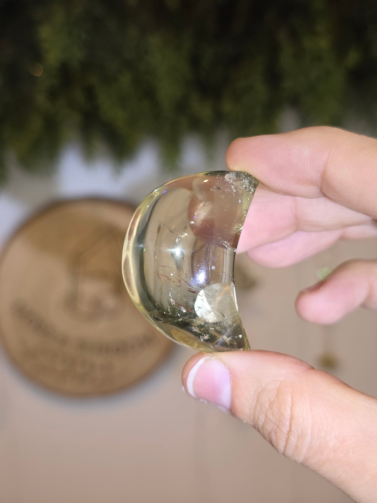 Brazilian Citrine Moons