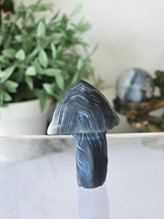 Black Gobi Agate Mushroom - MAS0766