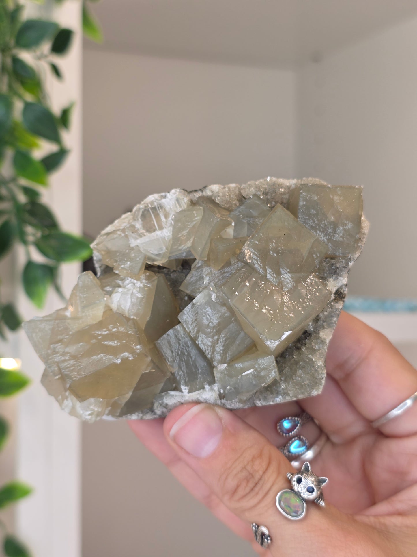 Honey Calcite Cubes on Druzy Sugar Calcite and Stilbite Matrix from Madhya Pradesh, India - W