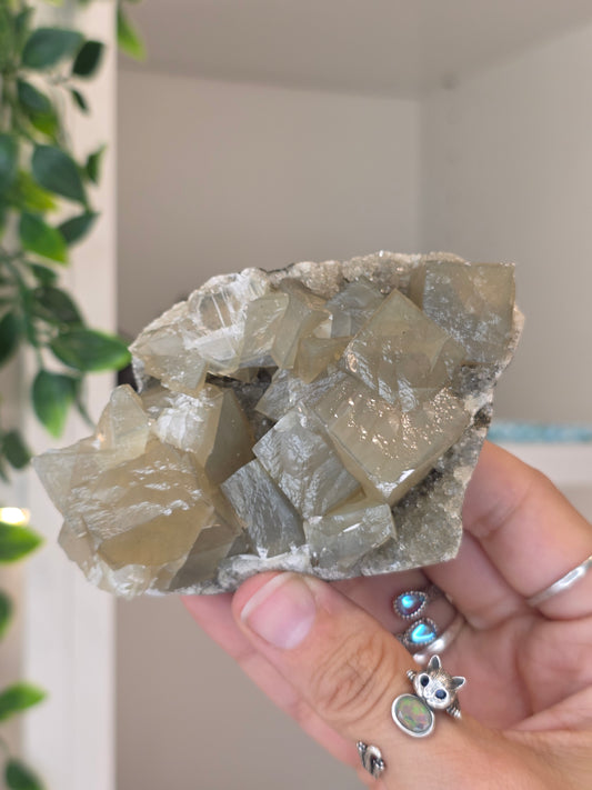 Honey Calcite Cubes on Druzy Sugar Calcite and Stilbite Matrix from Madhya Pradesh, India - W