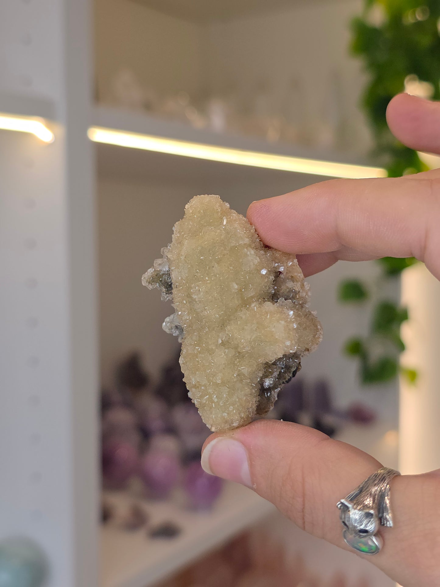 Sugary Dogtooth Calcite with Heulandite and Stilbite from Madhya Pradesh, India - S16