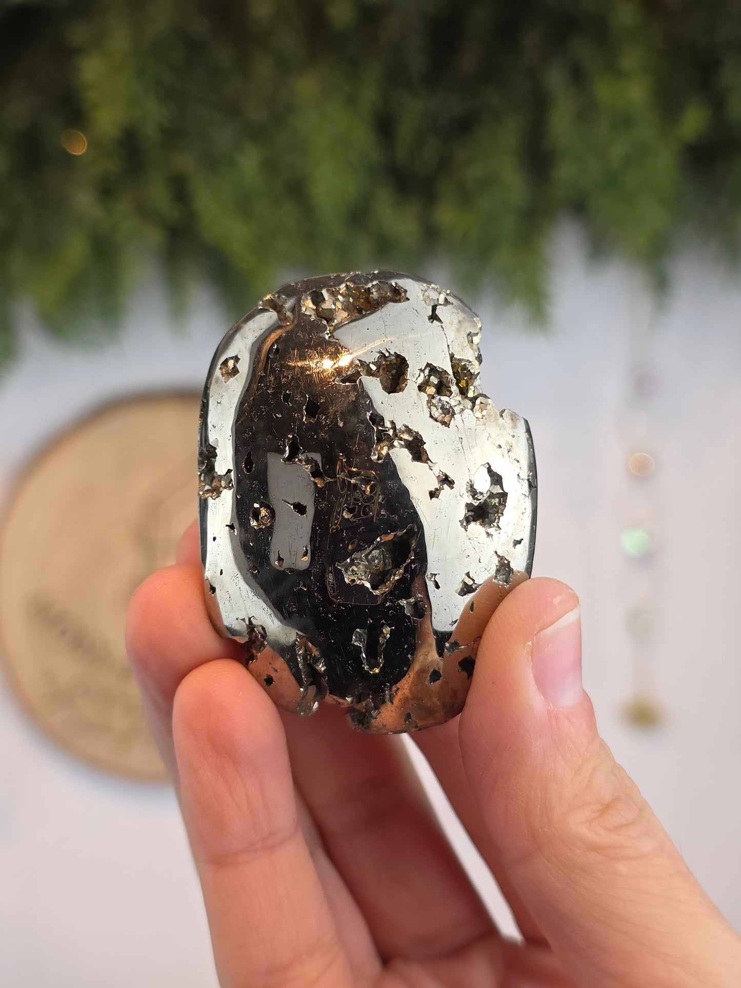 Peruvian Pyrite Palm