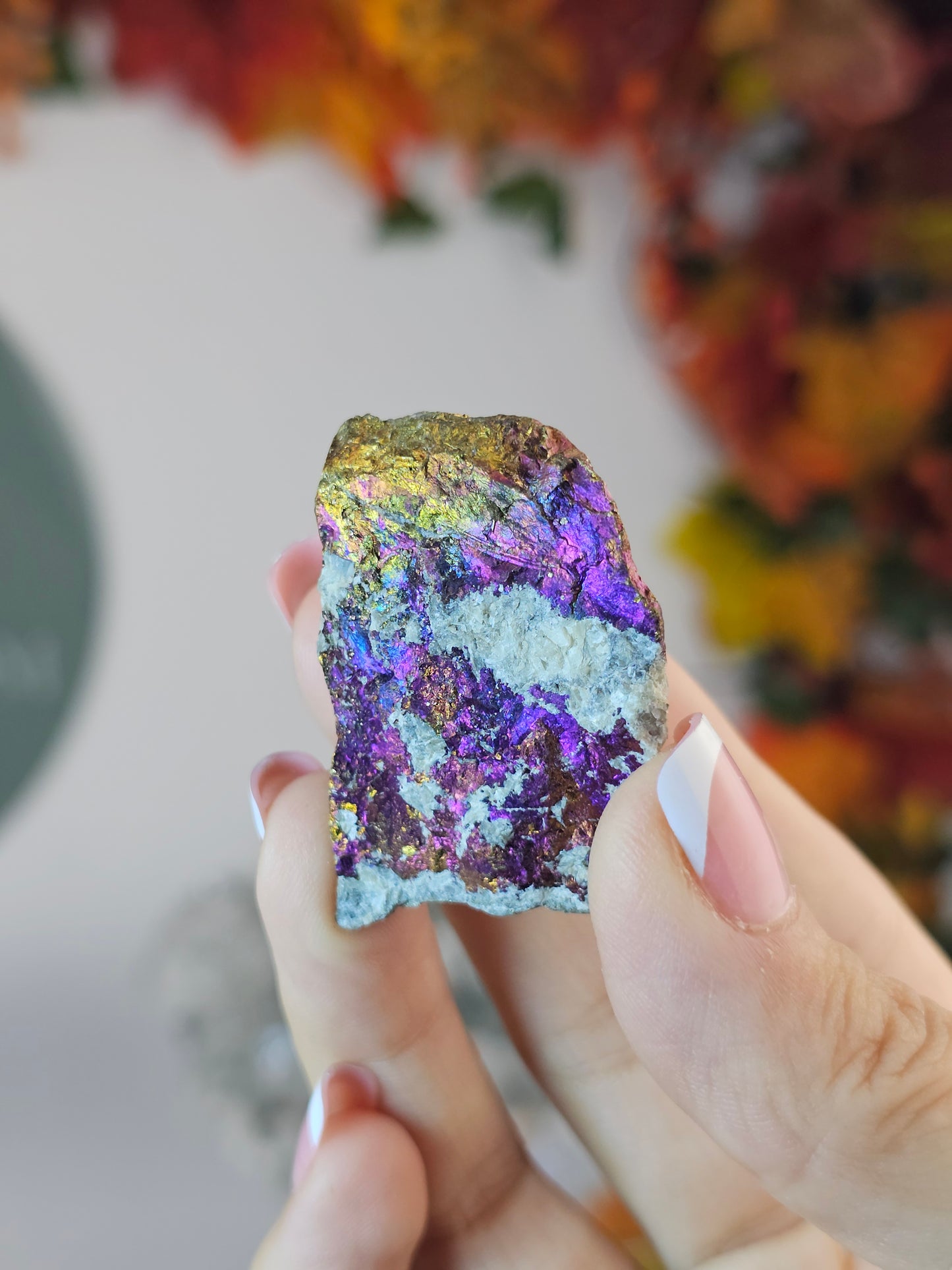 Intuitively chosen Colourful Pyrite on Limestone Matrix - MAS2805