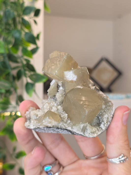 Honey Calcite Cubes on Druzy Sugar Calcite and Stilbite Matrix from Madhya Pradesh, India - AF