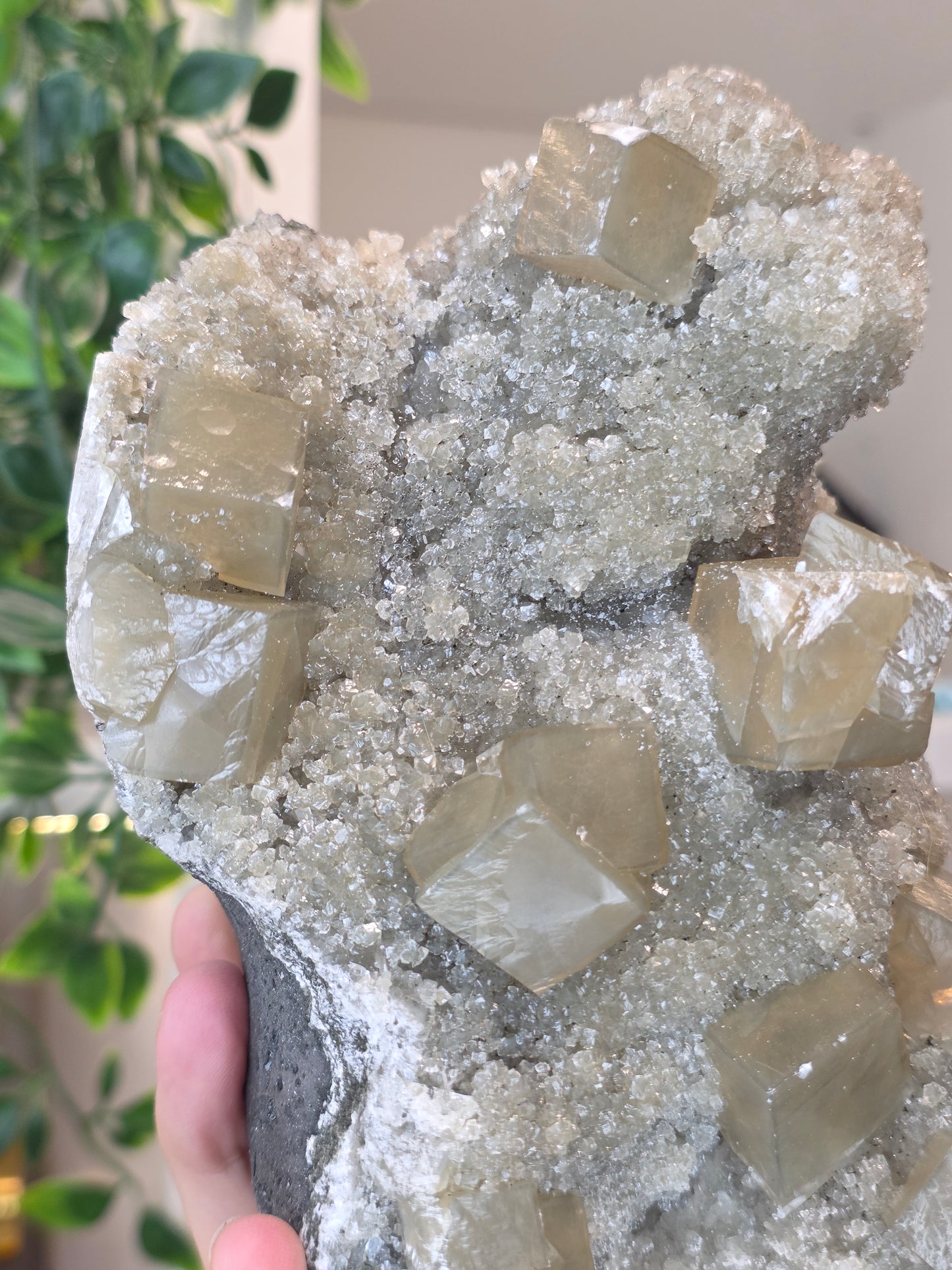 Honey Calcite Cubes on Druzy Sugar Calcite and Stilbite Matrix from Madhya Pradesh, India - AL