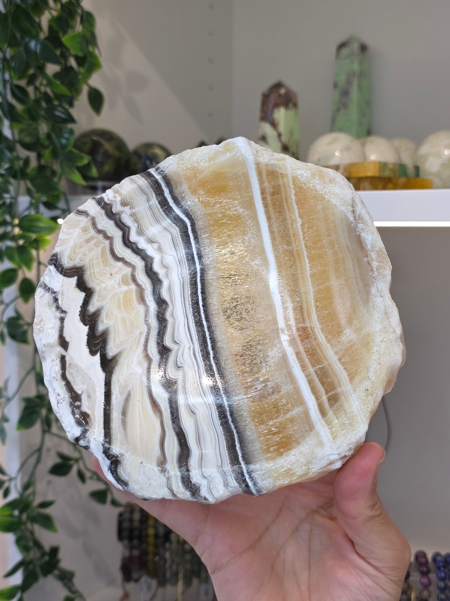 Raw Chunky Mexican Onyx Bowl - Yellow Zebra Calcite - D