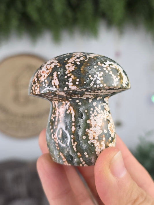 8th Vein Ocean Jasper Mushroom B