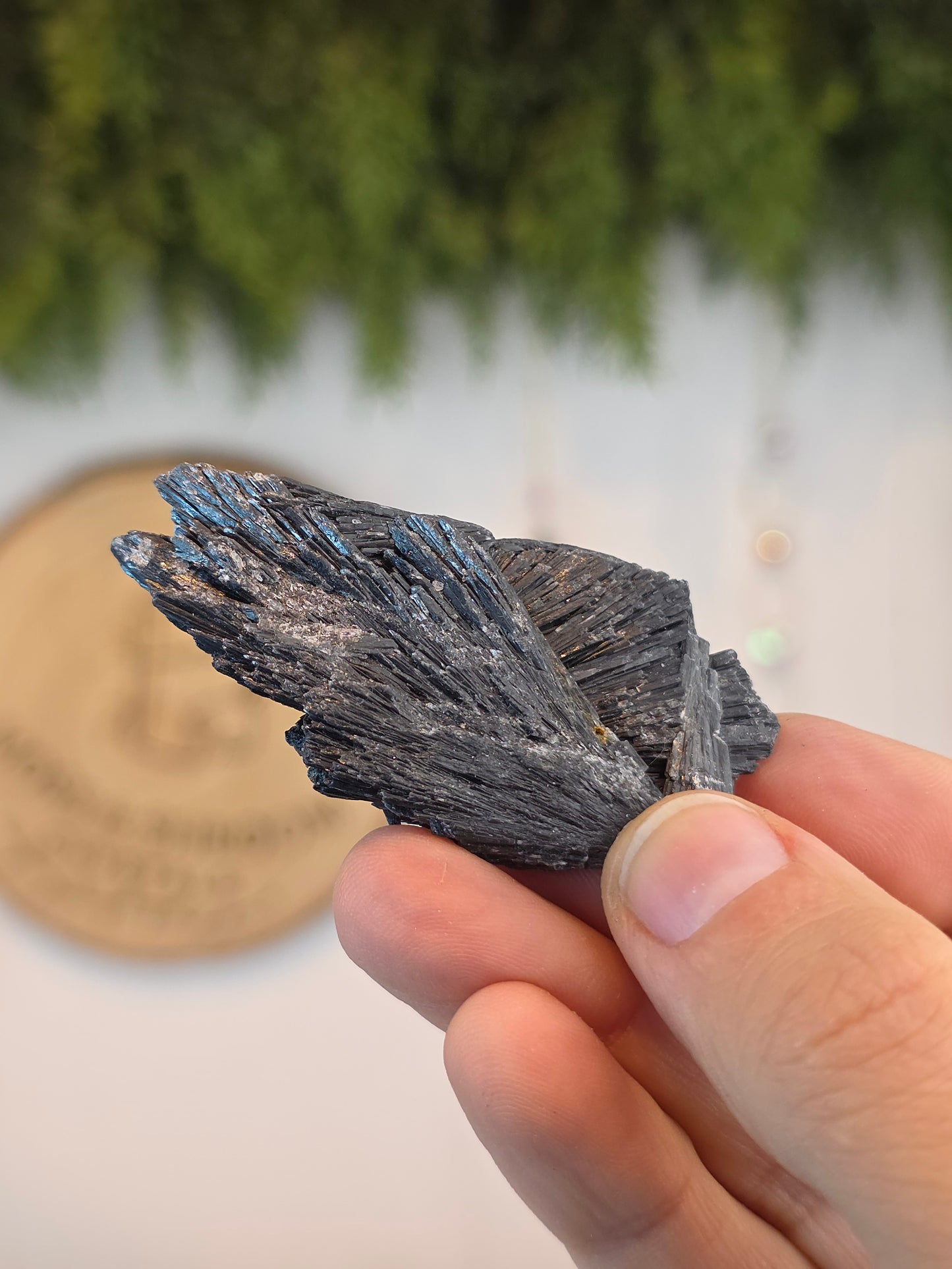 Brazilian Black Kyanite