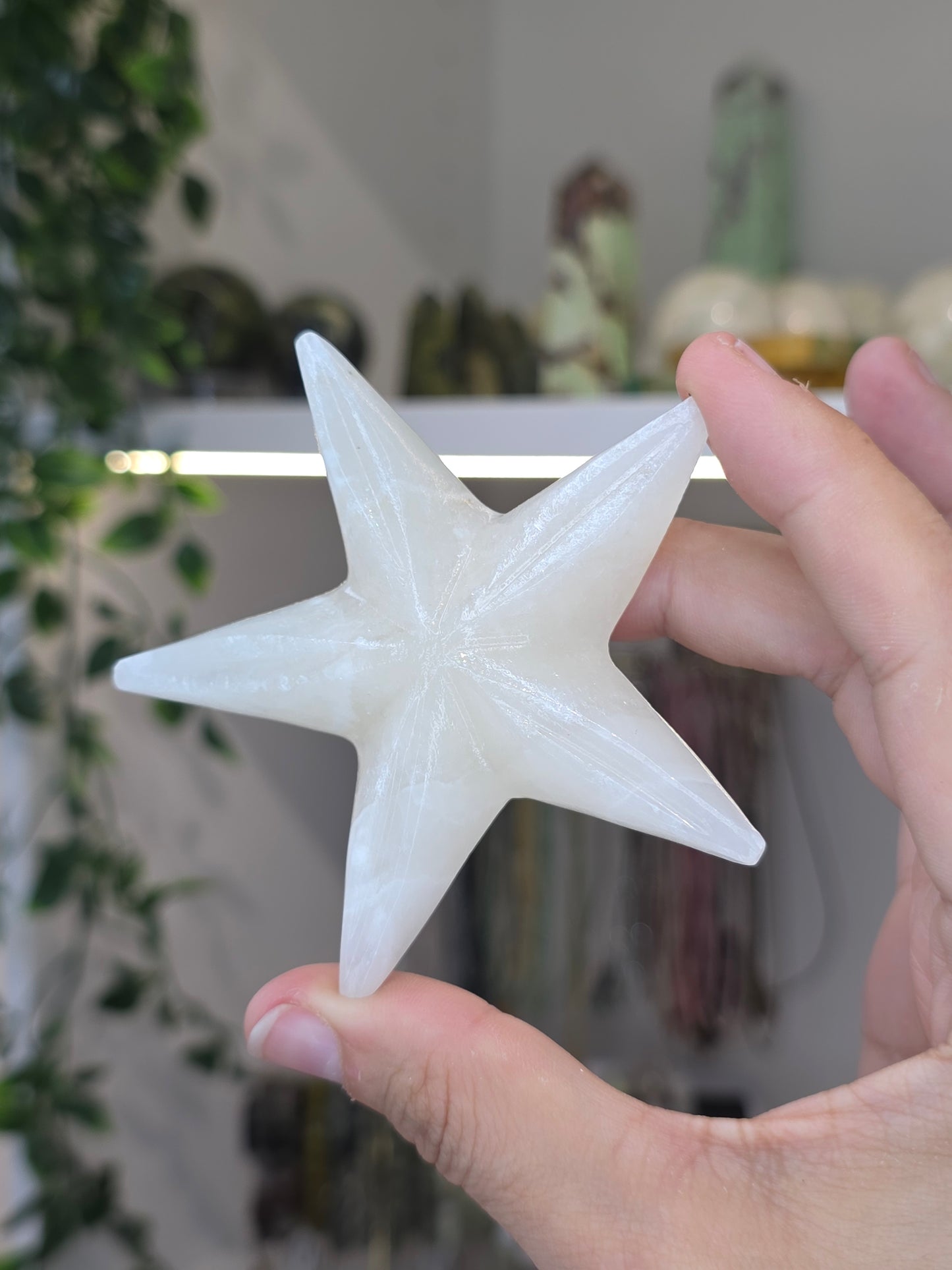 Small Mexican Onyx Starfish - White Calcite - A