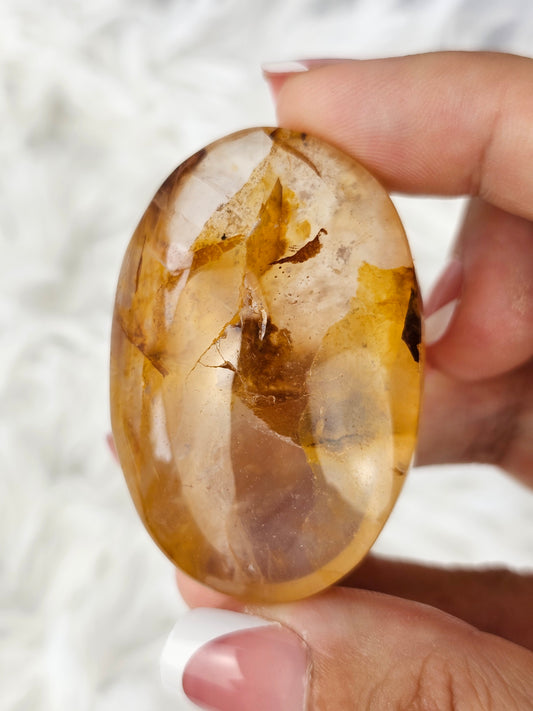 Rose Quartz with Golden Healer Palm Stone - MAS0734