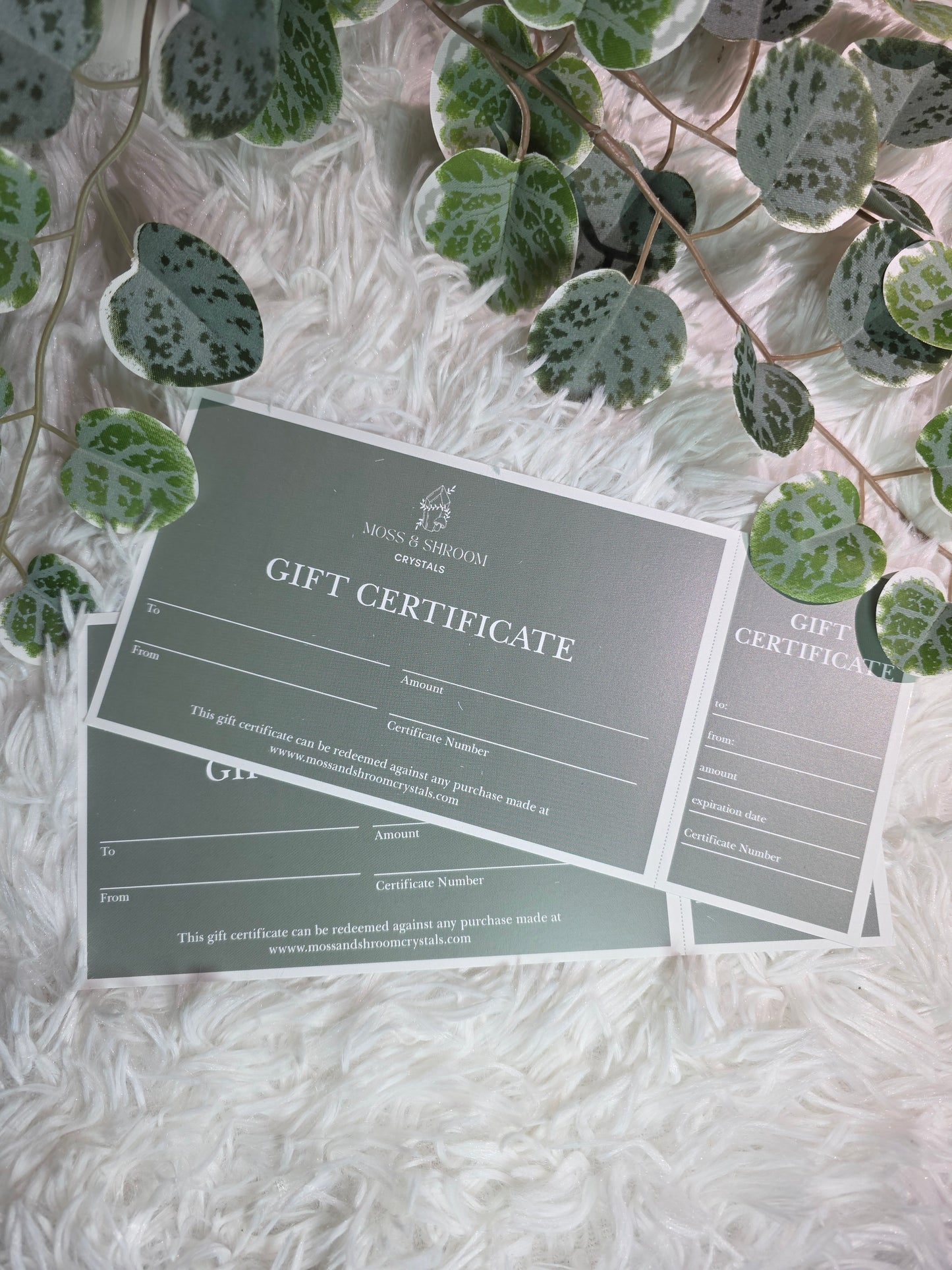 Gift Certificate - MAS5001