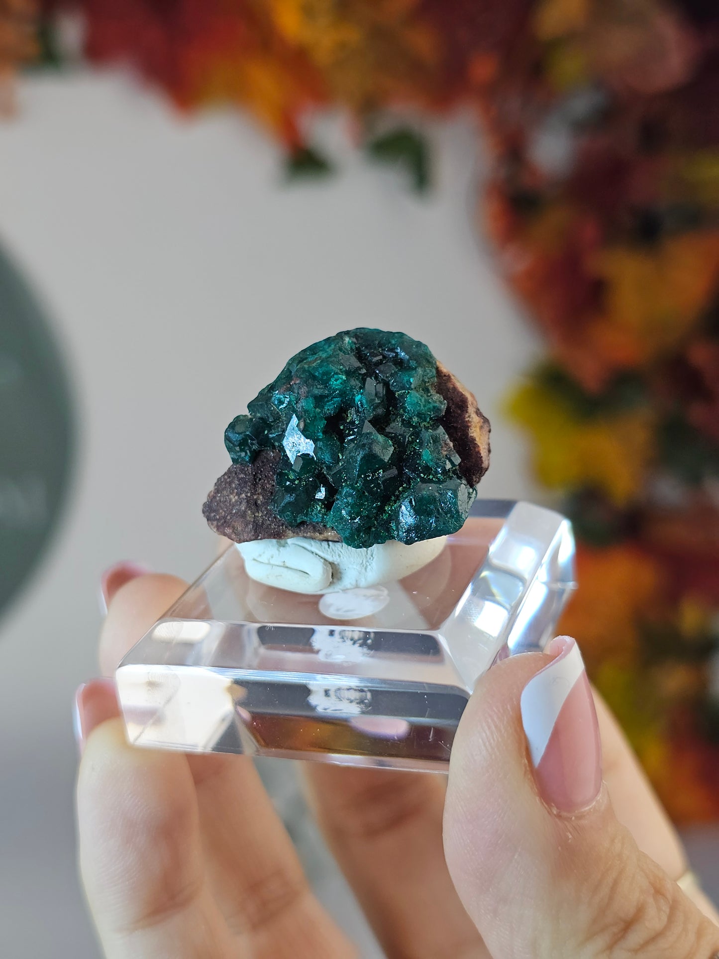 Dioptase Specimen B from Namibia - MAS3008