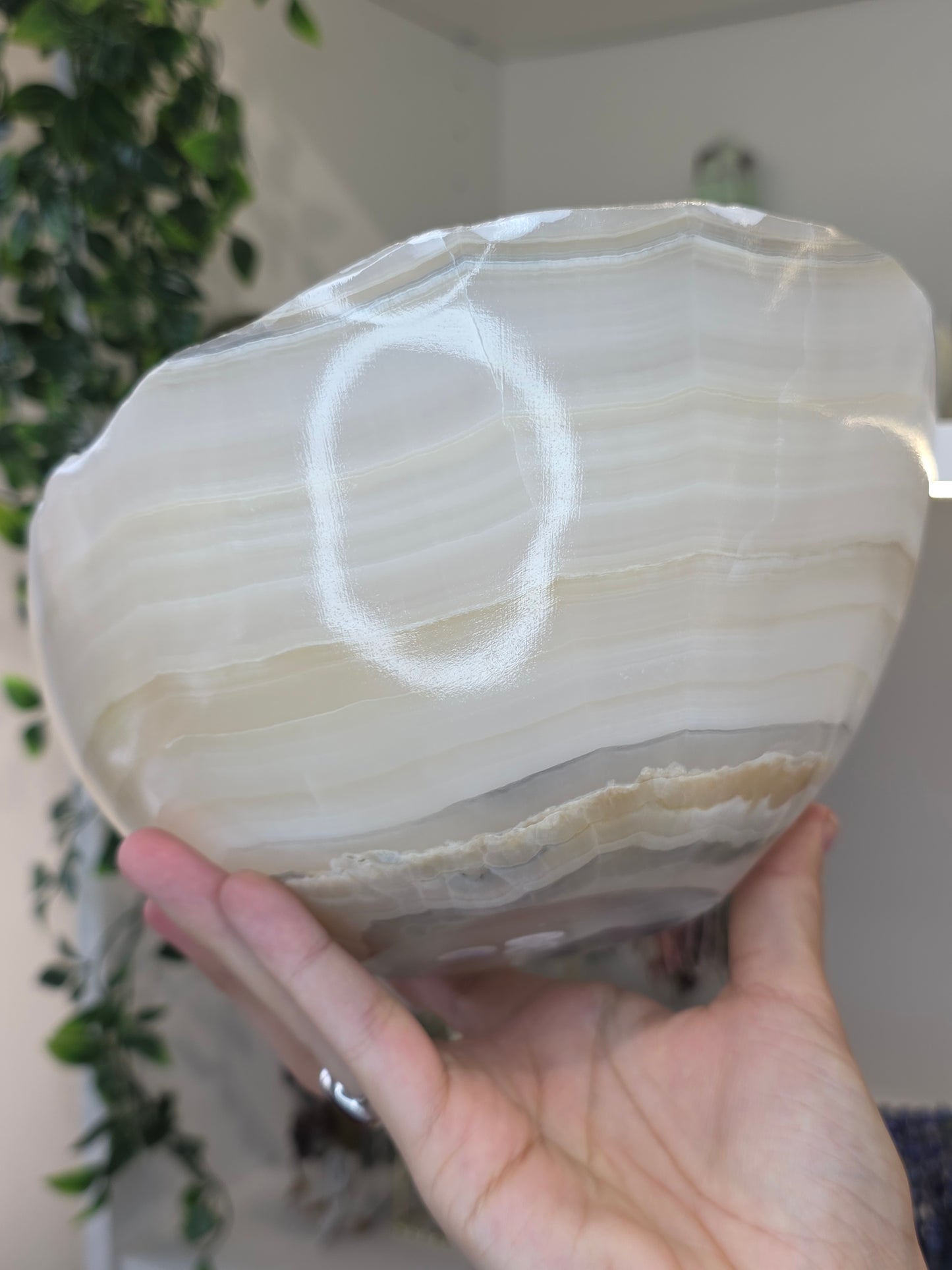 Extra Large Mexican Onyx Bowl - Honey Calcite