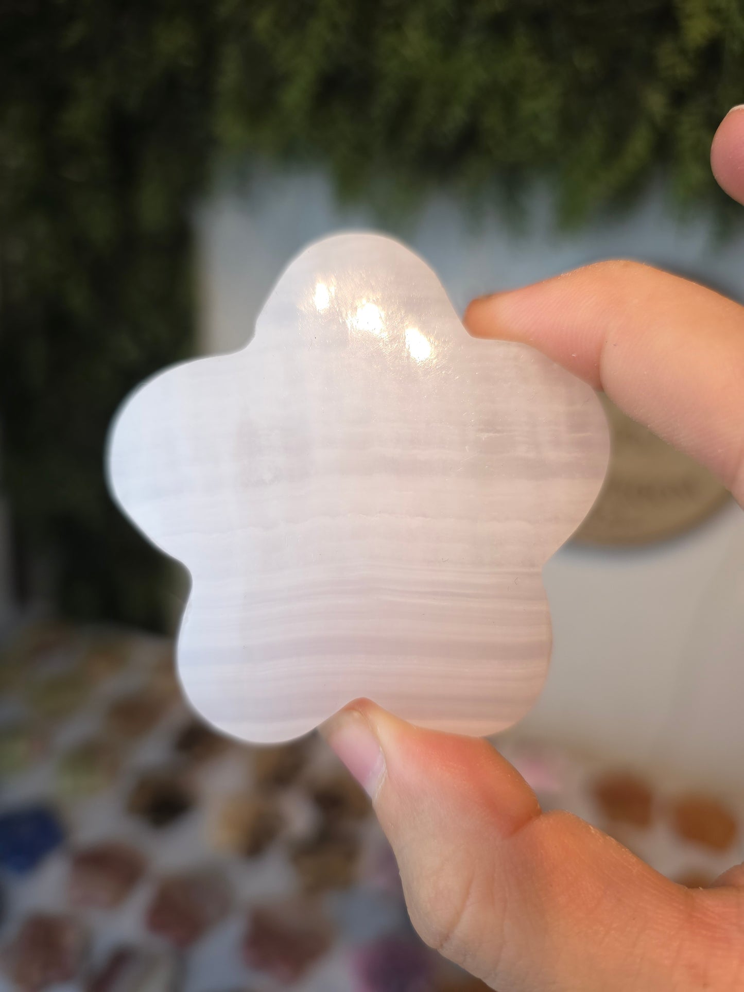 Flower Palms - Various Materials (Intuitively chosen)