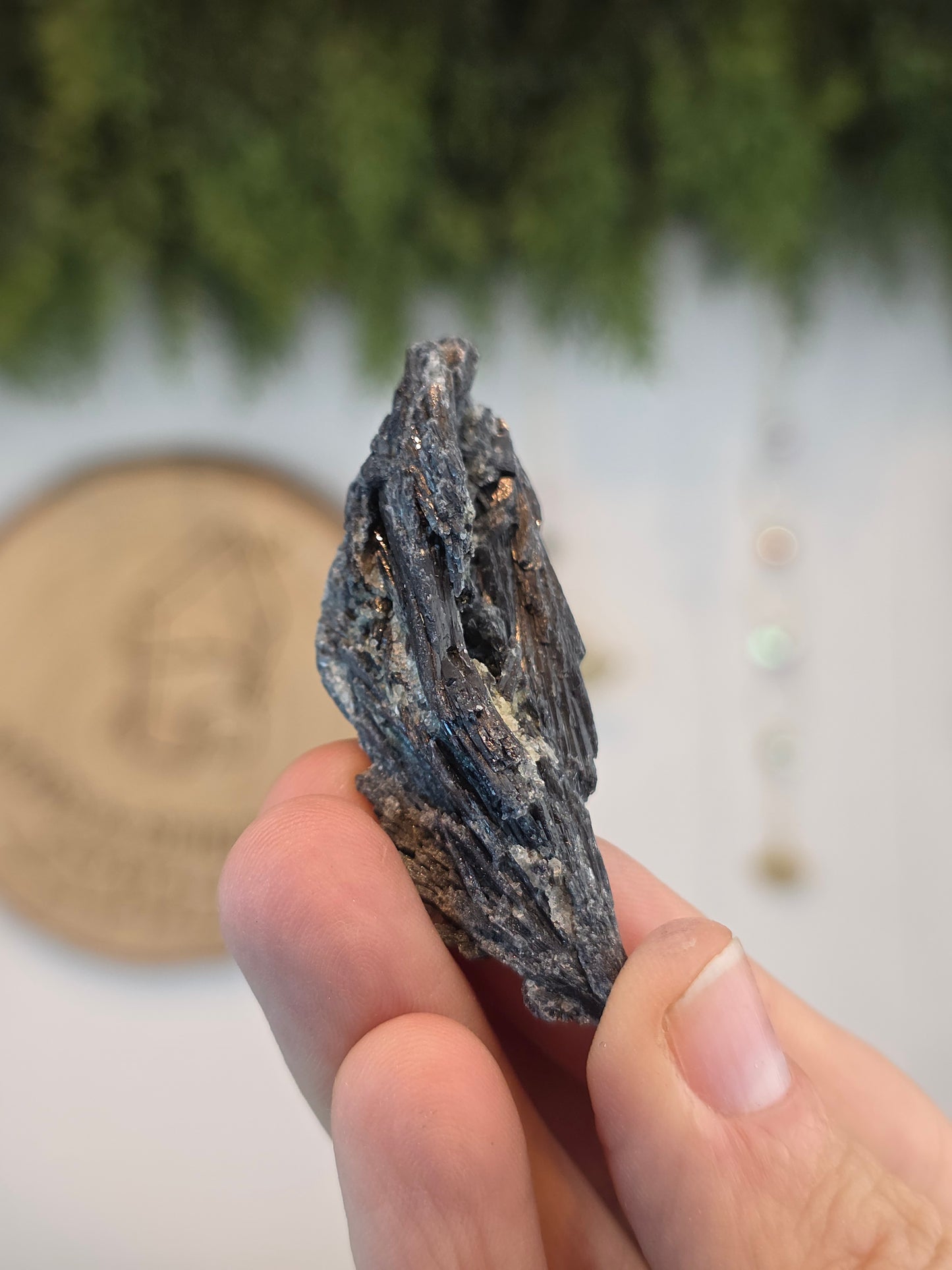 Brazilian Black Kyanite
